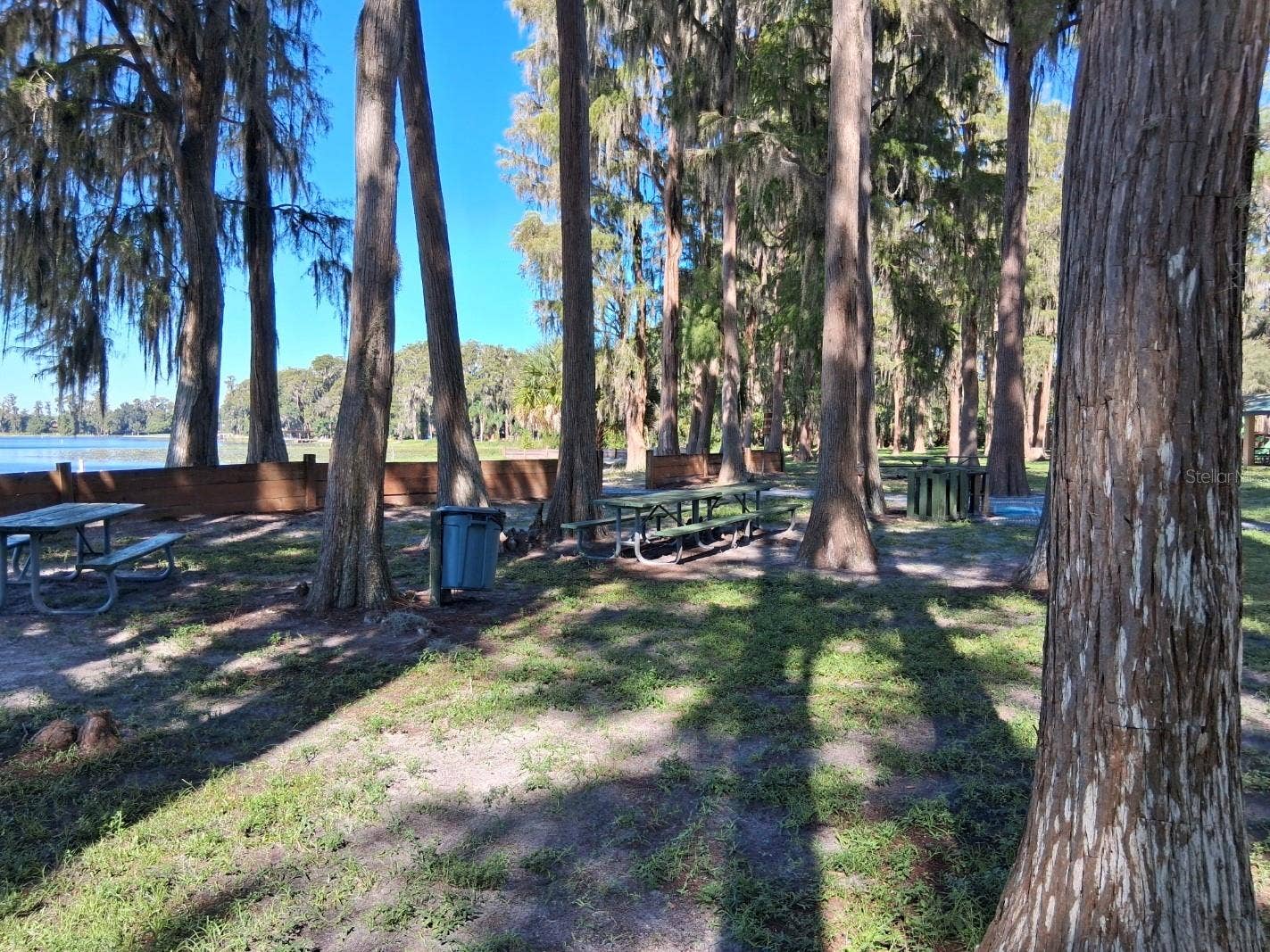 10052 LAKE DRIVE, New Port Richey, FL 34654 Park picnic area