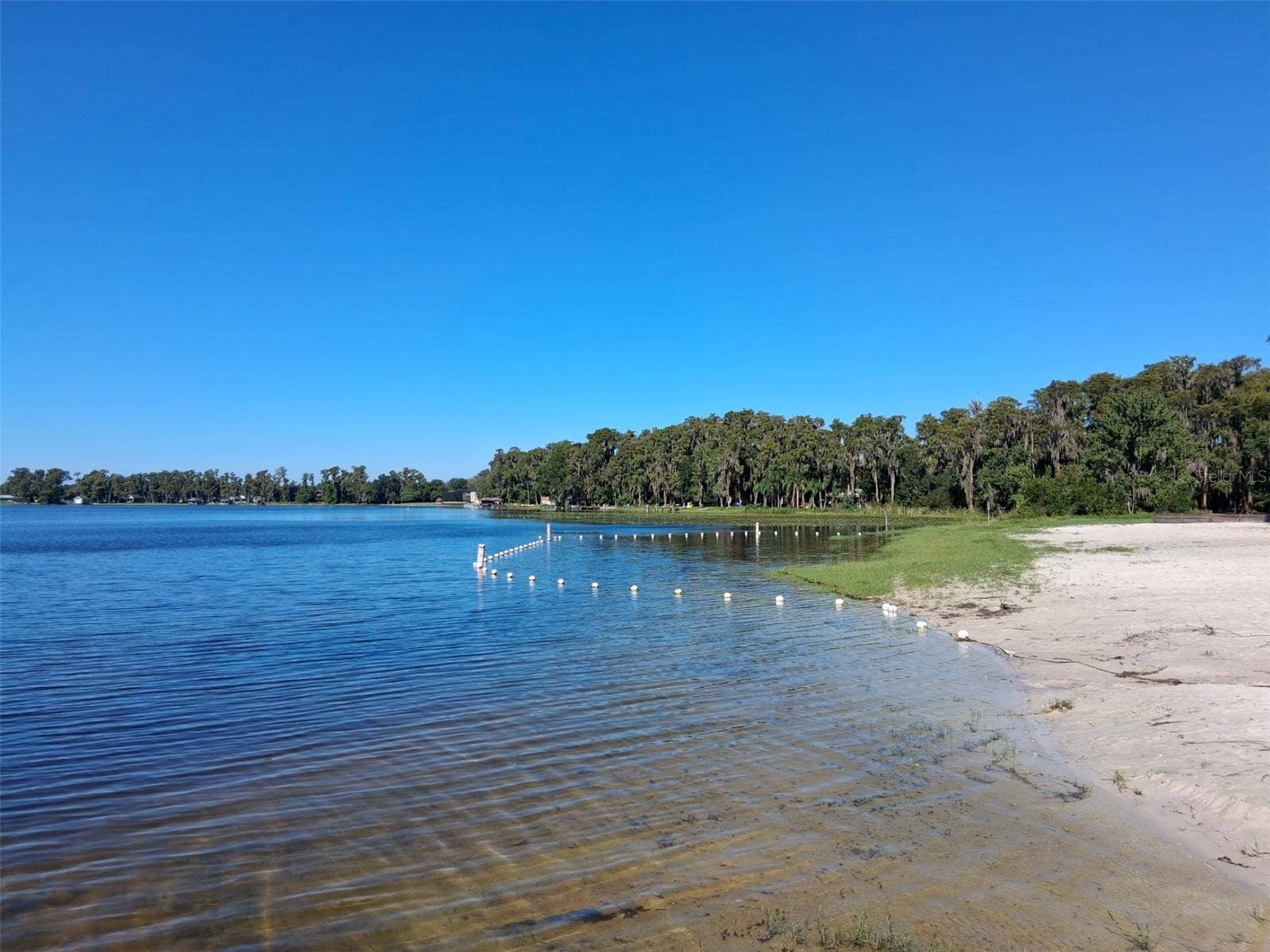 10052 LAKE DRIVE, New Port Richey, FL 34654 Park swimming area