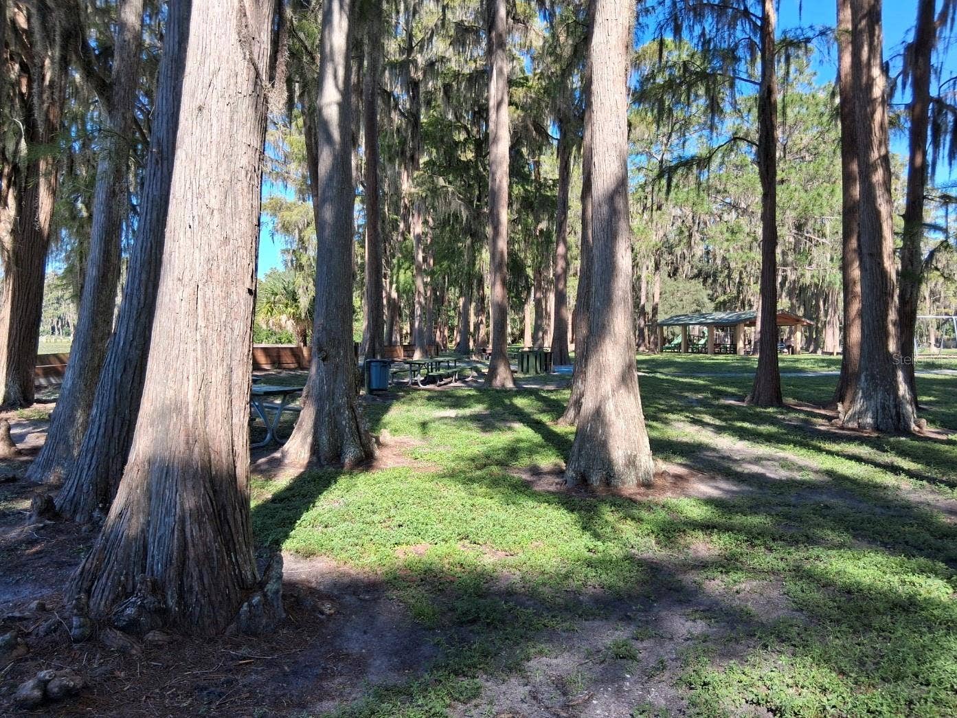 10052 LAKE DRIVE, New Port Richey, FL 34654 Park picnic area