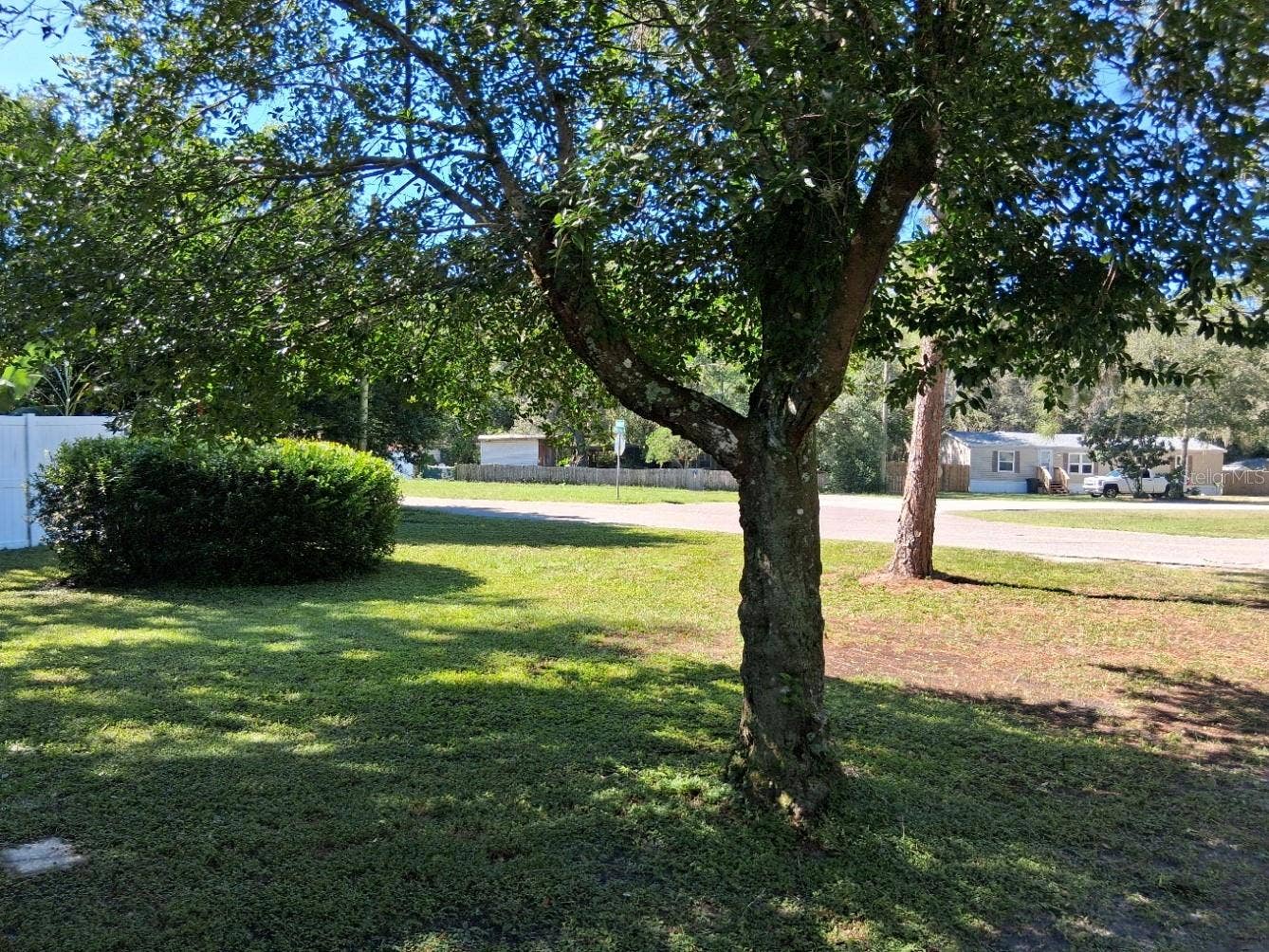 10052 LAKE DRIVE, New Port Richey, FL 34654 Front yard
