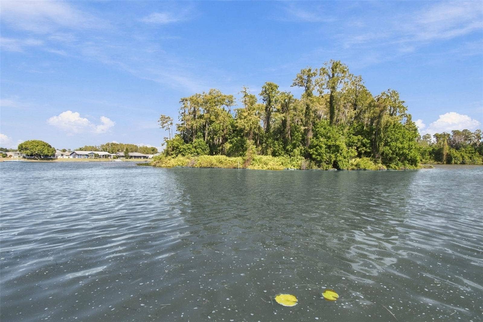 1615 BUNKER HILL DRIVE, Sun City Center, FL 33573 ISLAND