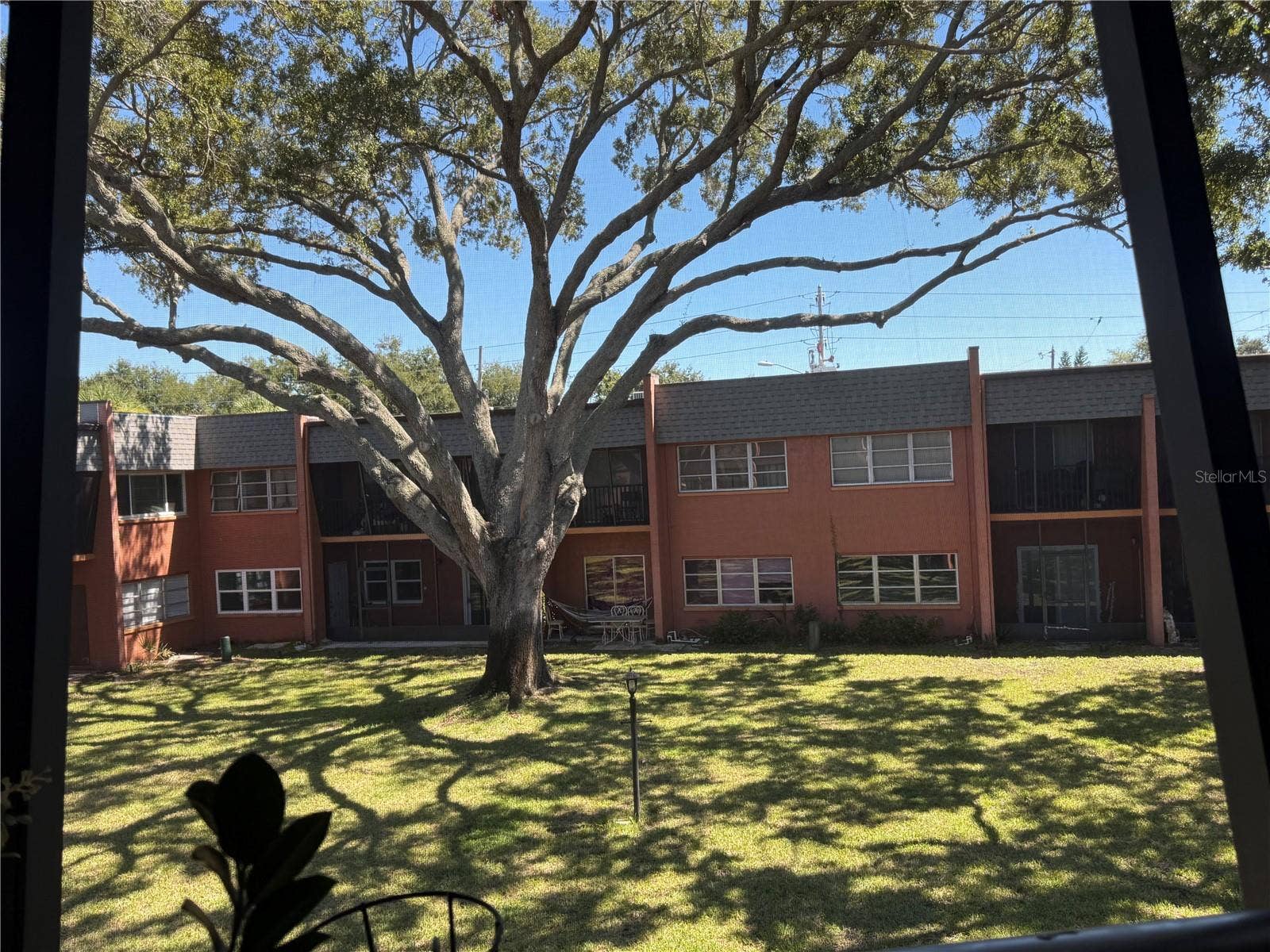 4805 ALT 19, #422, Palm Harbor, FL 34683