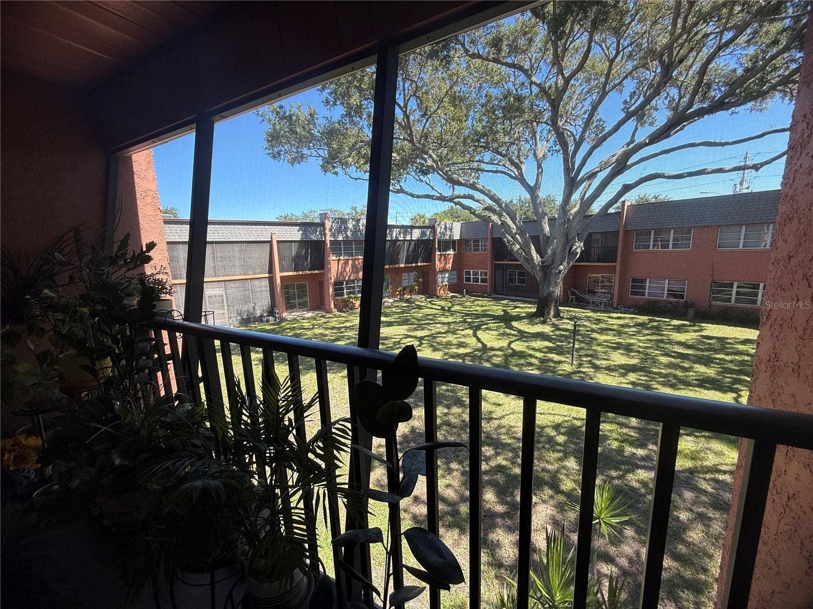 4805 ALT 19, #422, Palm Harbor, FL 34683