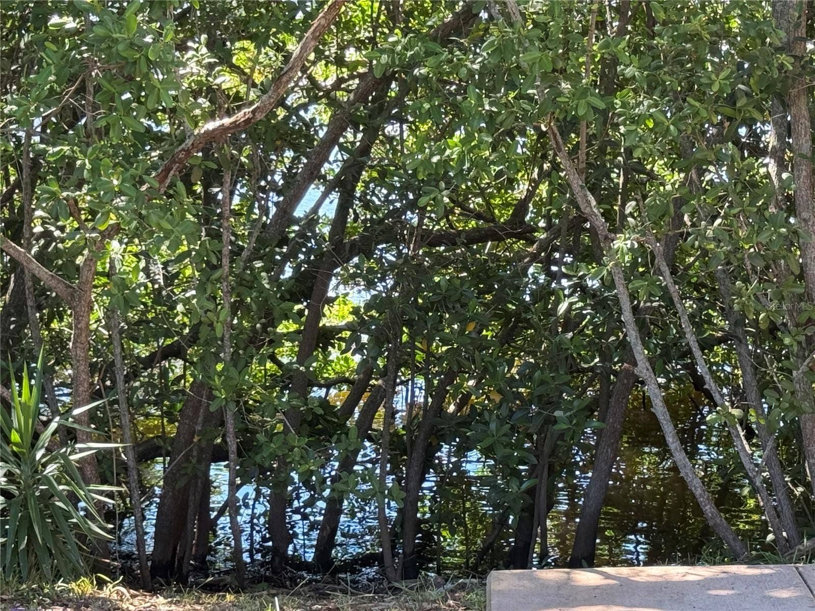 4805 ALT 19, #422, Palm Harbor, FL 34683