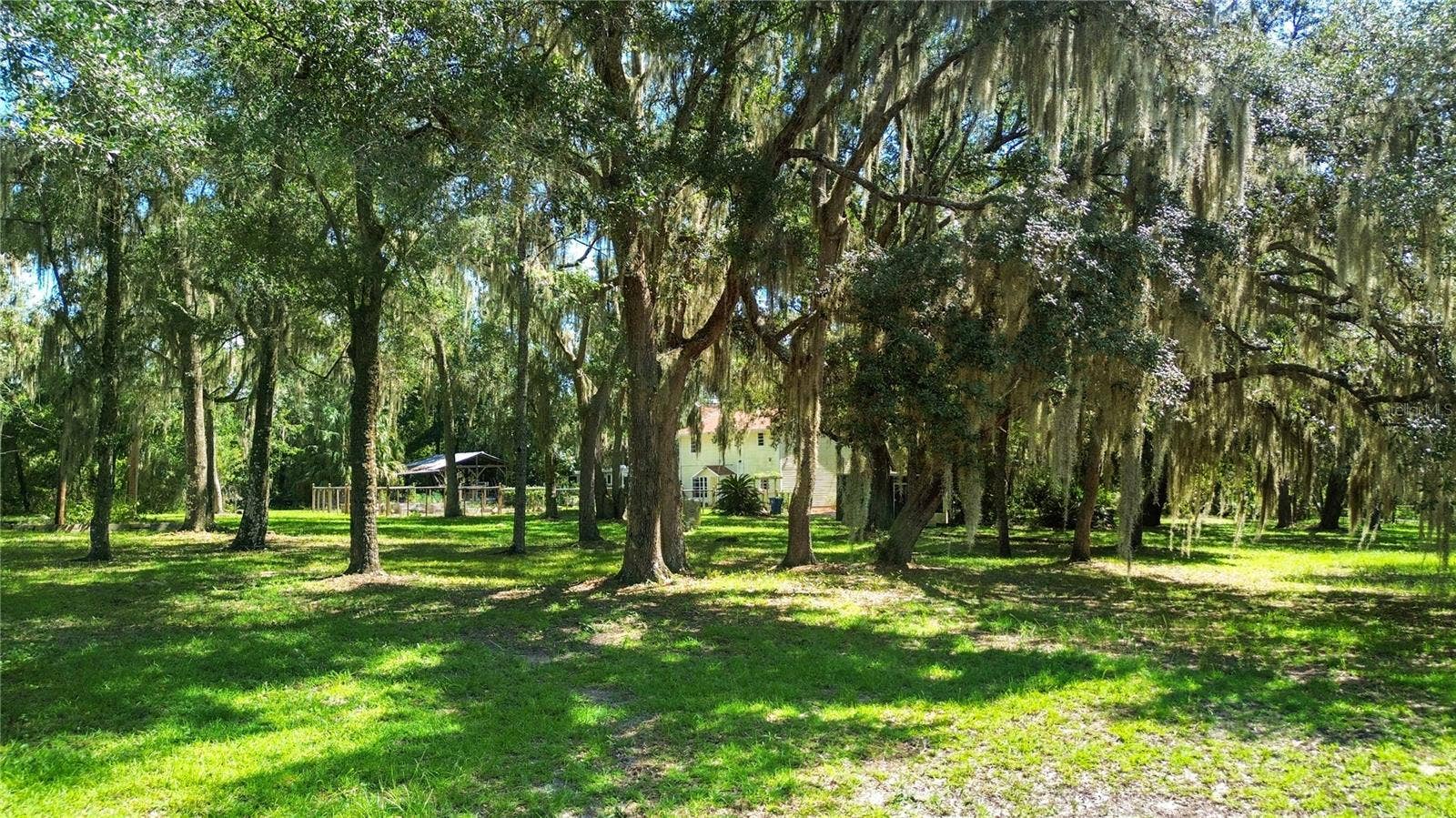 5225 GRIFFIN ROAD, Brooksville, FL 34601 5225 GRIFFIN ROAD, Brooksville, FL 34601