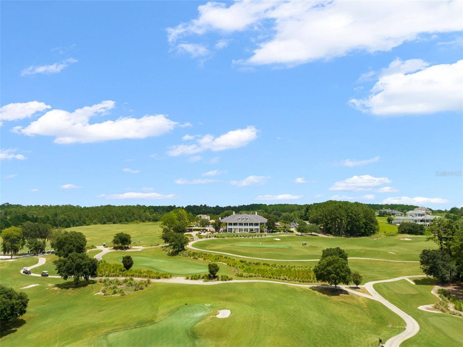 19594 STERLING BLUFF WAY, Brooksville, FL 34601 golf course