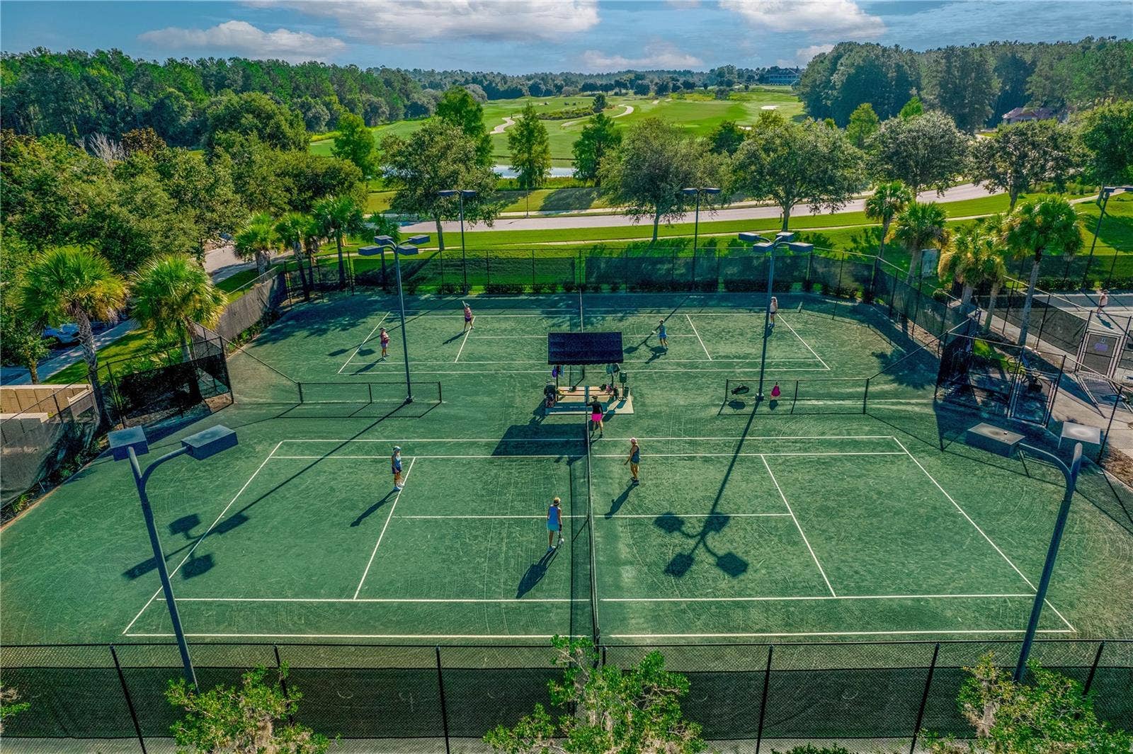 19594 STERLING BLUFF WAY, Brooksville, FL 34601 har-tru tennis courts