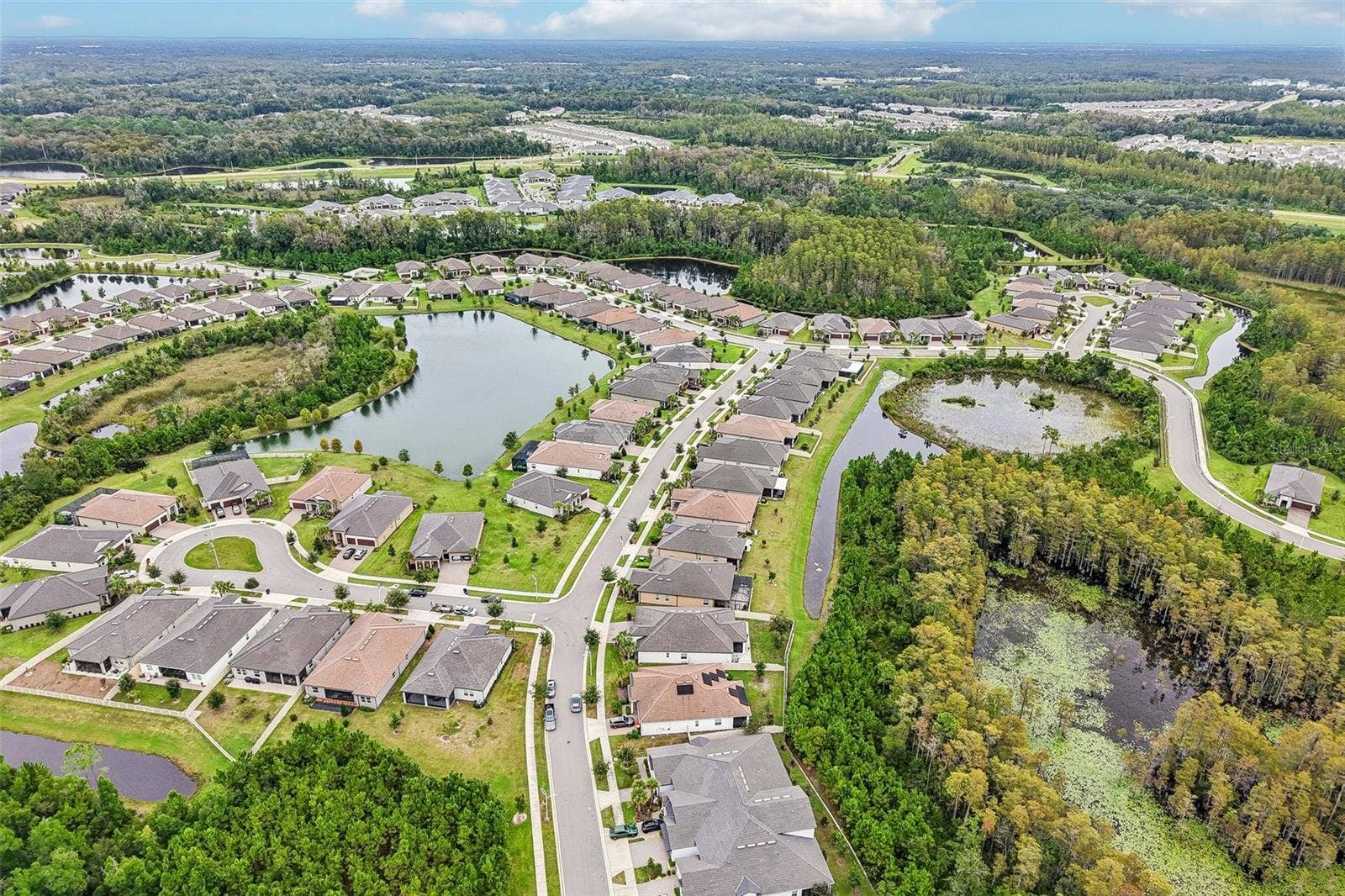 17022 FORGE SURF STREET, Land O Lakes, FL 34638 17022 FORGE SURF STREET, Land O Lakes, FL 34638