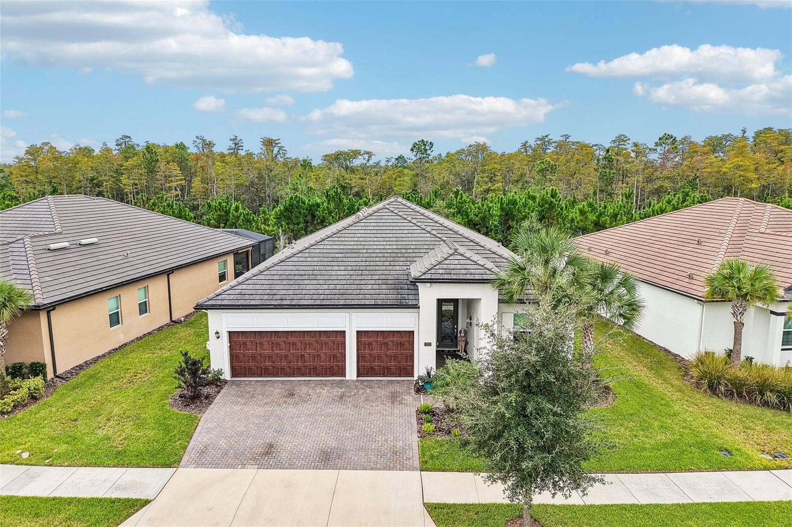 17022 FORGE SURF STREET, Land O Lakes, FL 34638 17022 FORGE SURF STREET, Land O Lakes, FL 34638