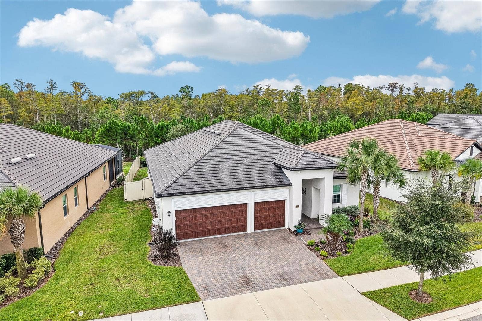 17022 FORGE SURF STREET, Land O Lakes, FL 34638 17022 FORGE SURF STREET, Land O Lakes, FL 34638