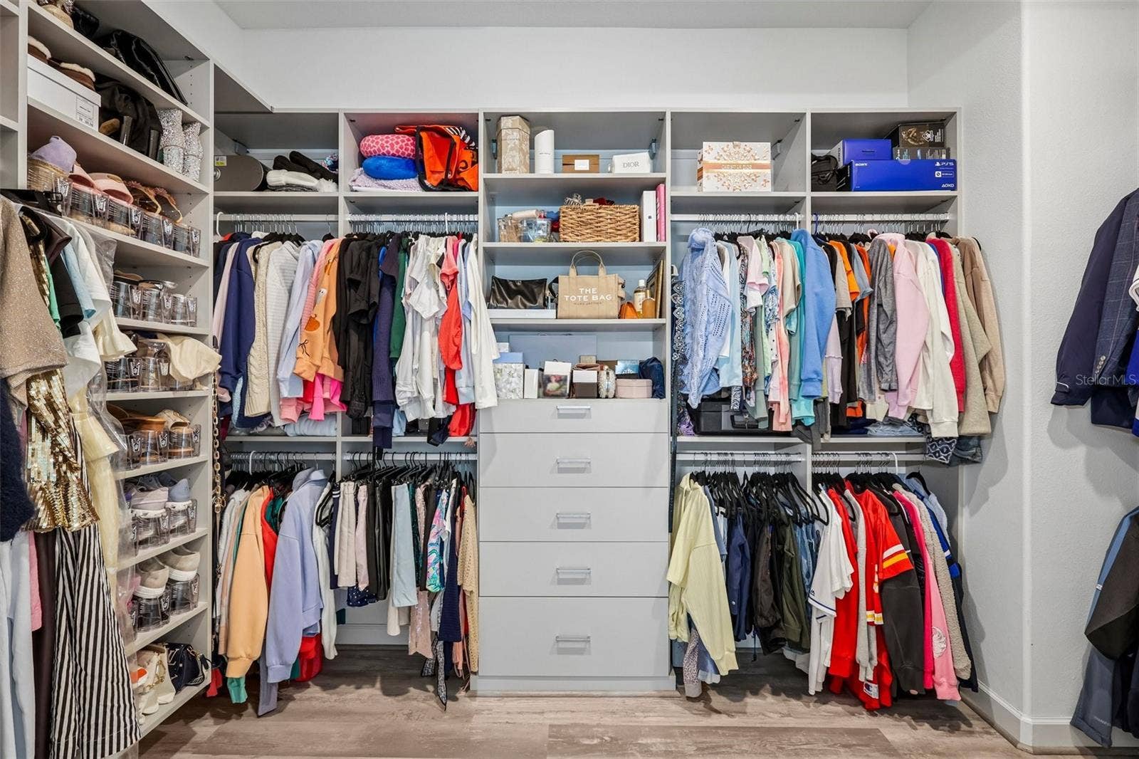 17022 FORGE SURF STREET, Land O Lakes, FL 34638 Primary bedroom closet with custom organizers built in