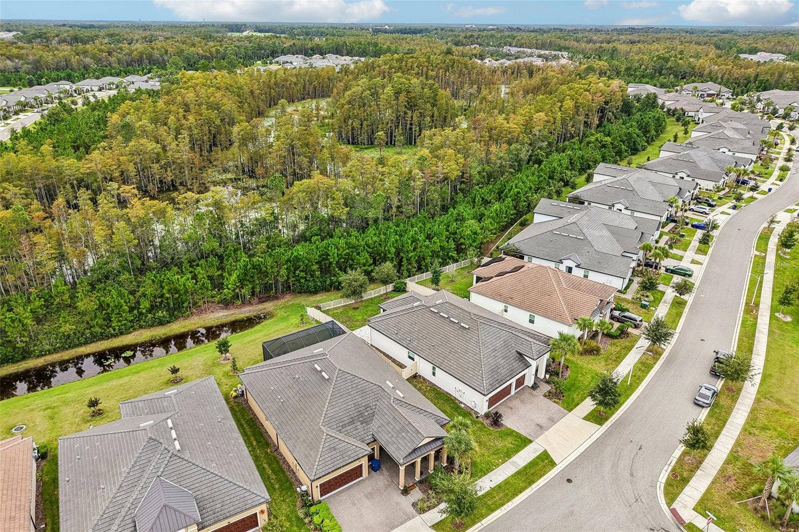 17022 FORGE SURF STREET, Land O Lakes, FL 34638 17022 FORGE SURF STREET, Land O Lakes, FL 34638