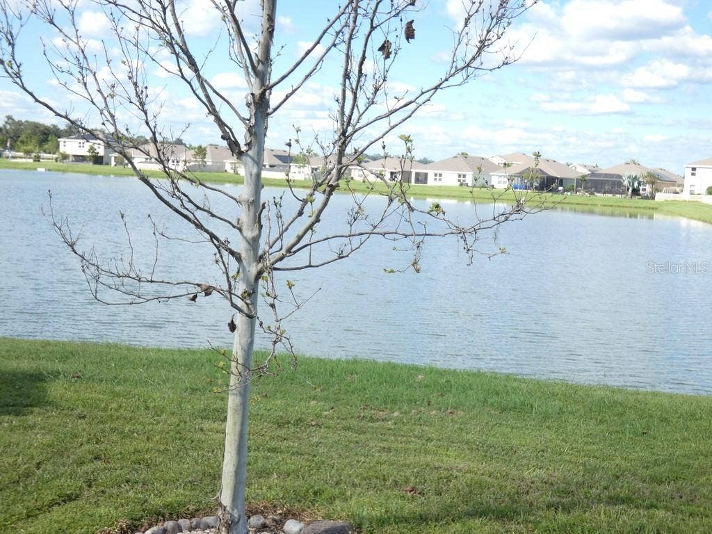 Zephyrhills, FL 33540 View From Inside the Home:)