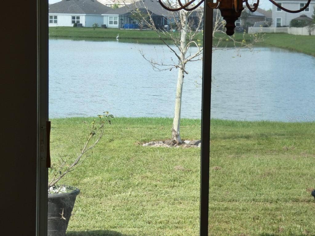 Zephyrhills, FL 33540 View From Inside the Home:)