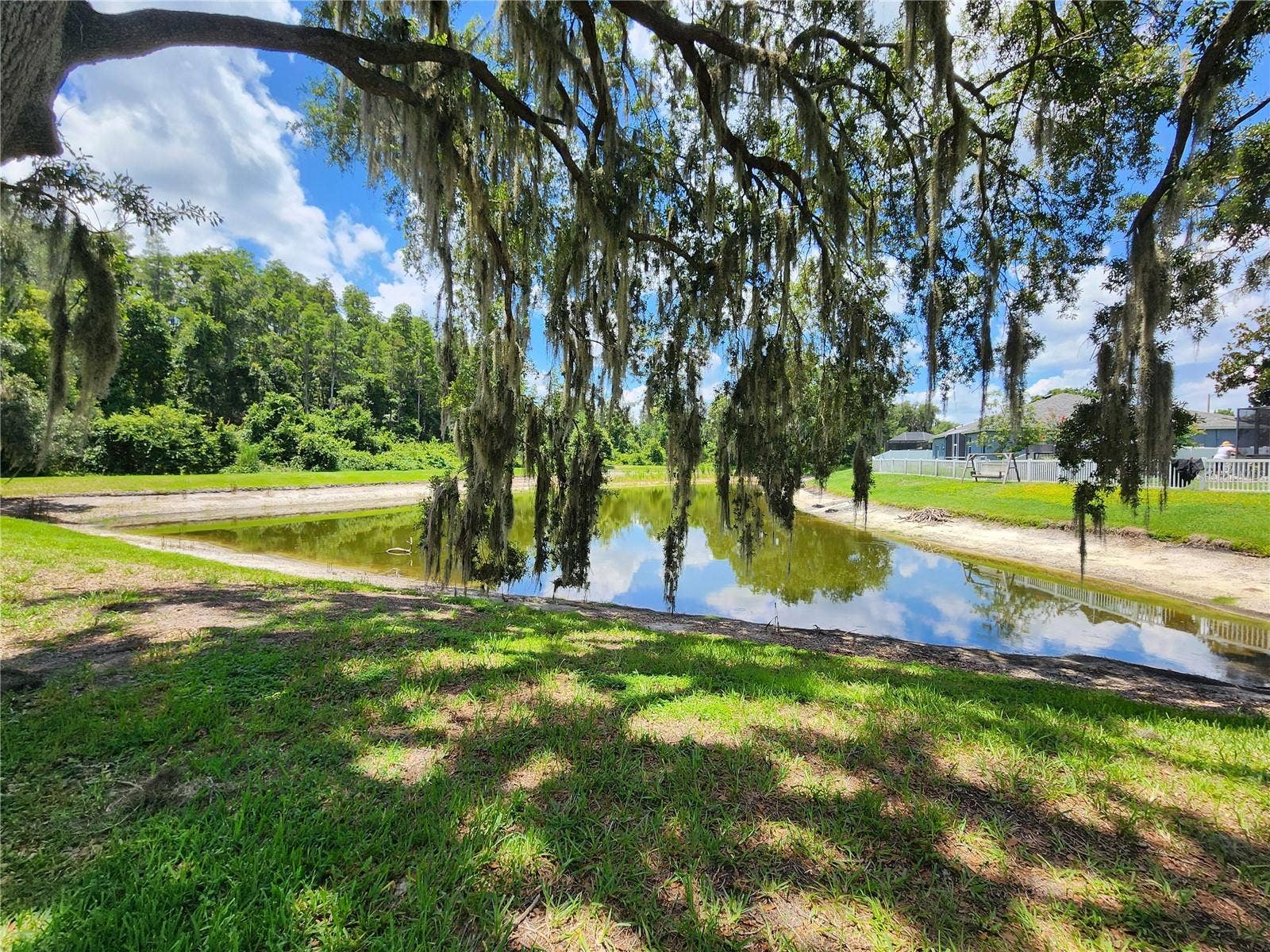 30702 IVERSON DRIVE, Wesley Chapel, FL 33543 Back yard looking out to pond
