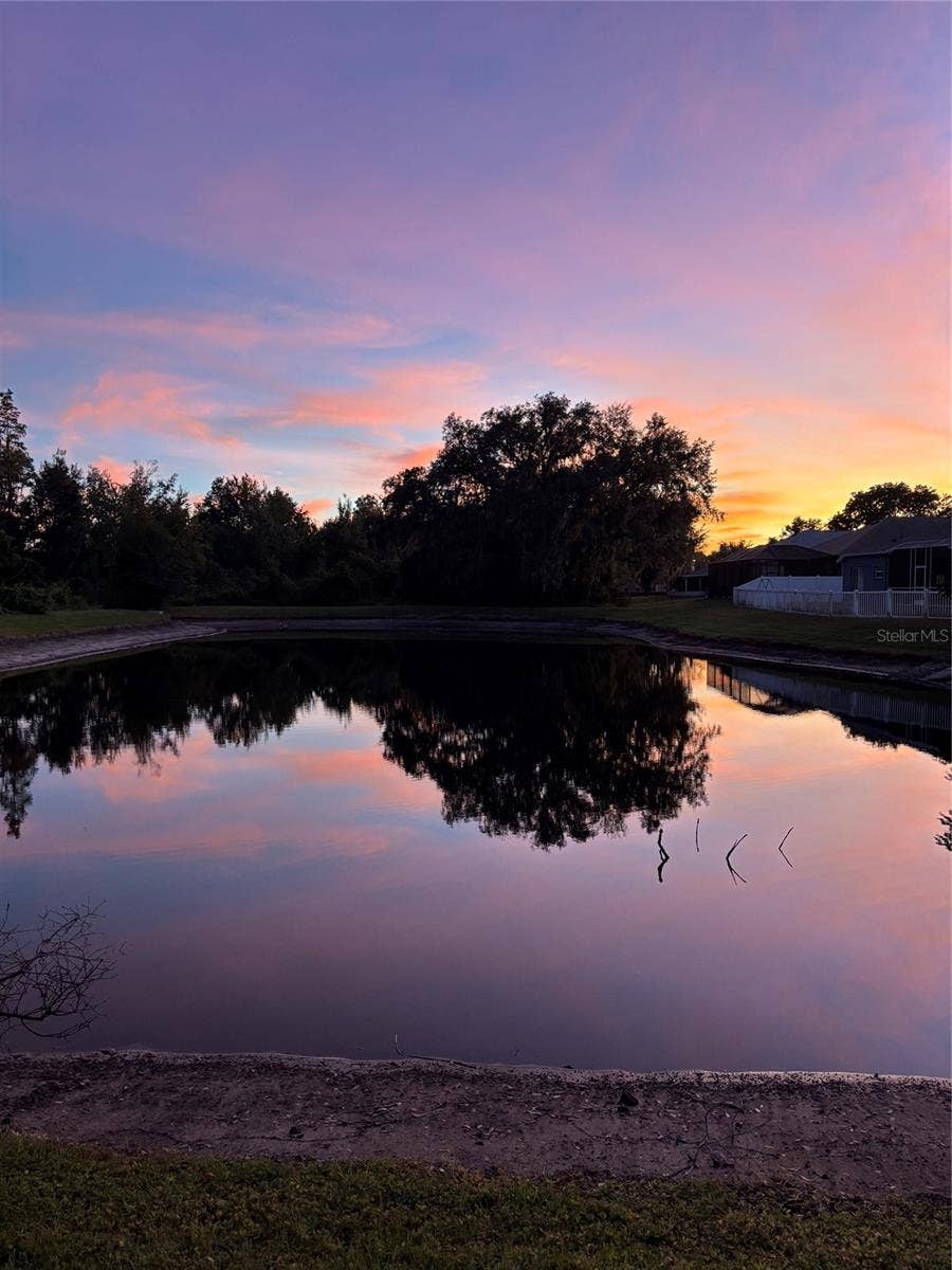 30702 IVERSON DRIVE, Wesley Chapel, FL 33543 Pond at night
