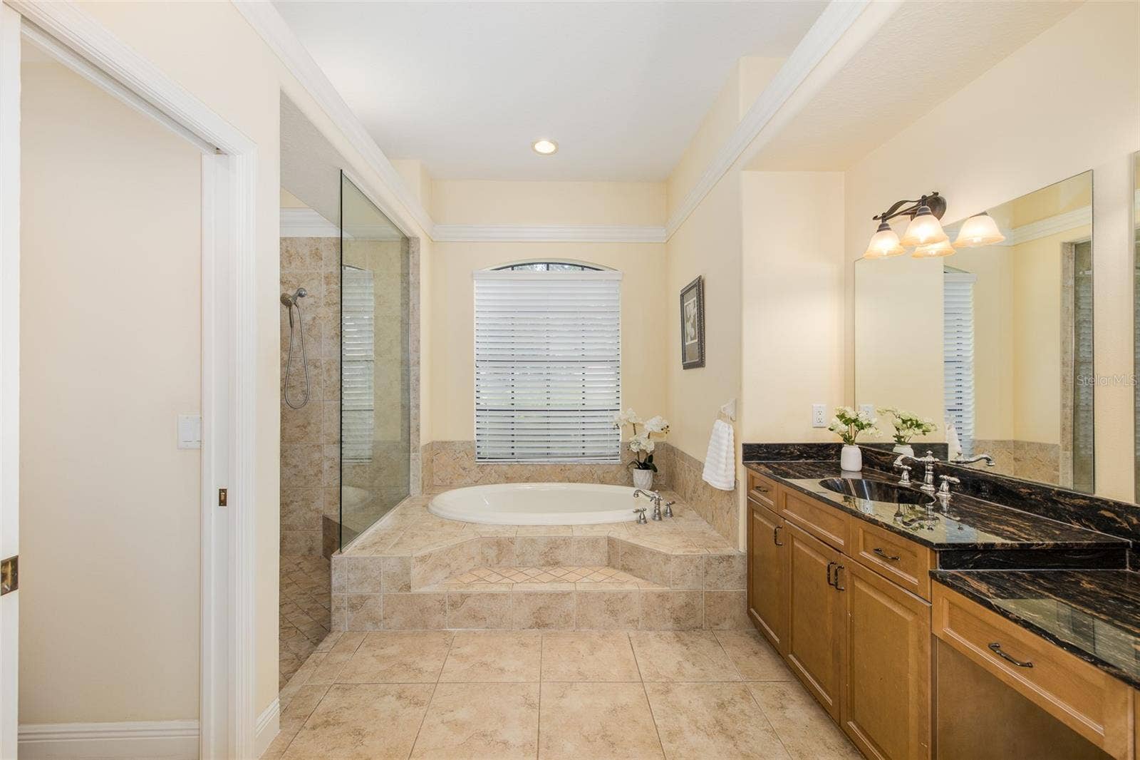 10640 PONTOFINO CIRCLE, Trinity, FL 34655
