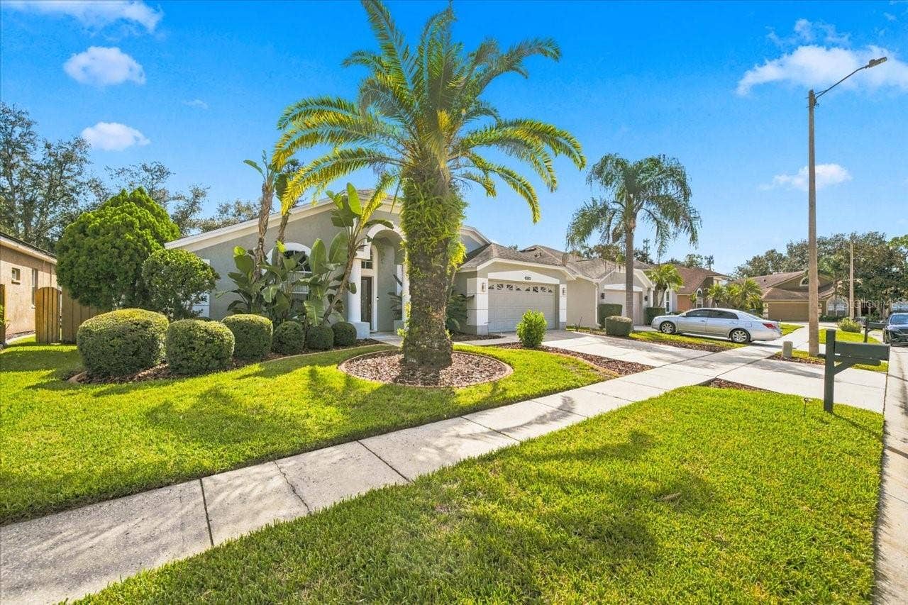 18009 PALM BREEZE DRIVE, Tampa, FL 33647 18009 PALM BREEZE DRIVE, Tampa, FL 33647