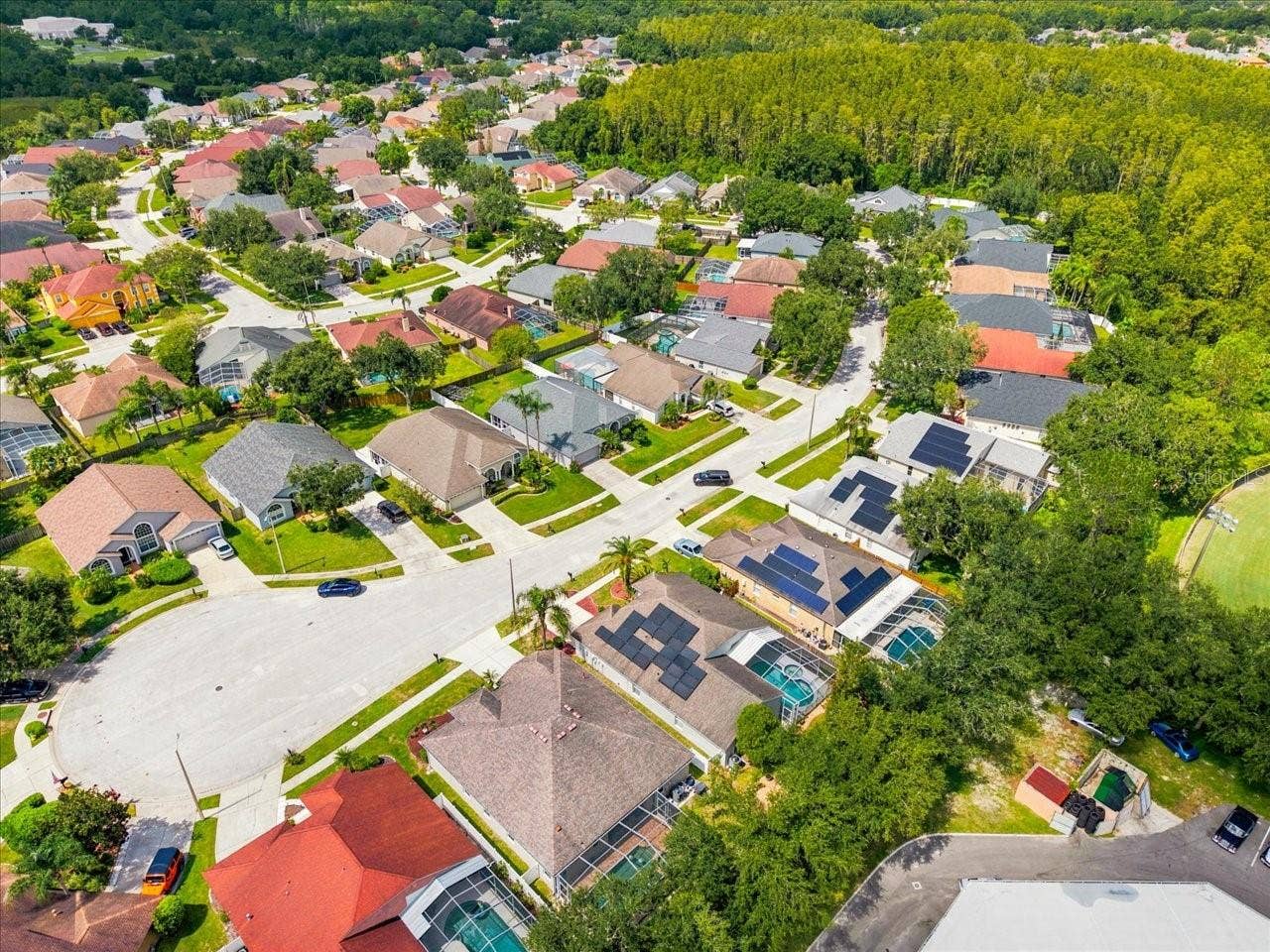 18009 PALM BREEZE DRIVE, Tampa, FL 33647 18009 PALM BREEZE DRIVE, Tampa, FL 33647