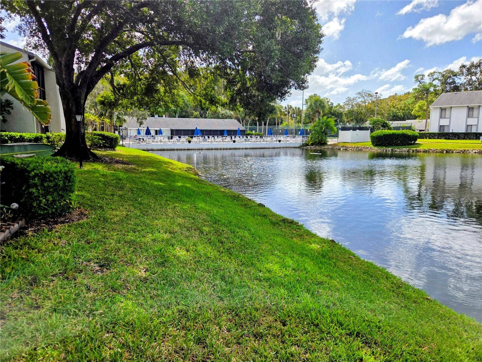 Behind Clubhouse