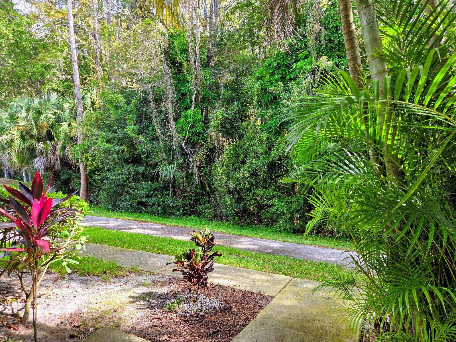 view behind condo