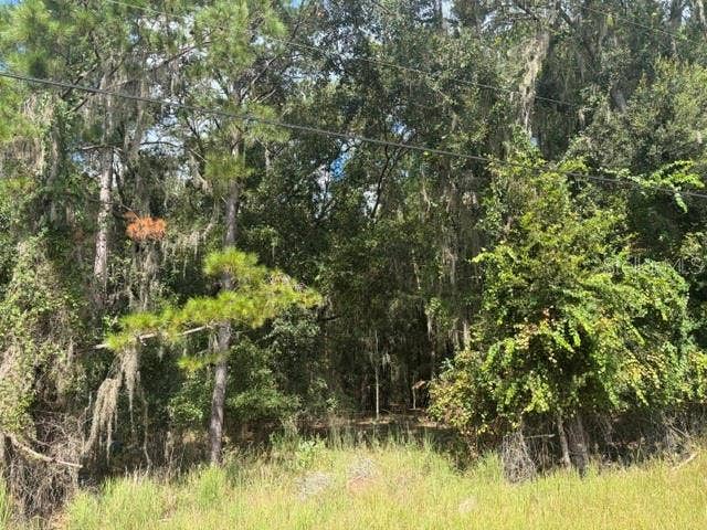 PINE CABIN ROAD, Brooksville, FL 34601
