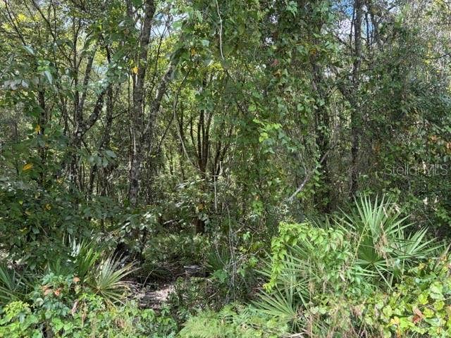 PINE CABIN ROAD, Brooksville, FL 34601