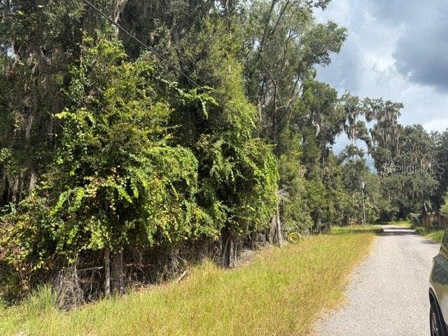 PINE CABIN ROAD, Brooksville, FL 34601