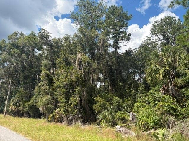 PINE CABIN ROAD, Brooksville, FL 34601