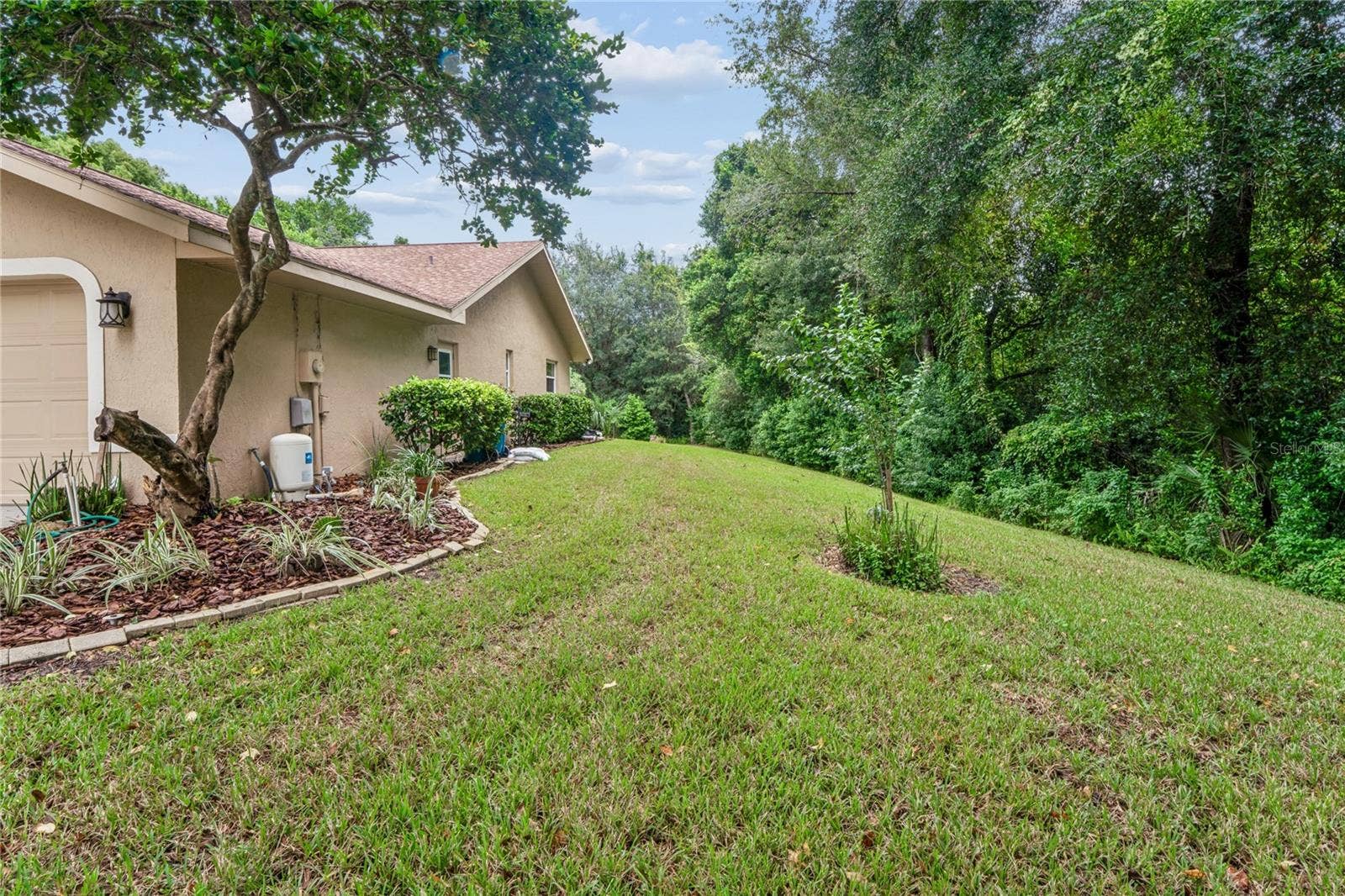 14433 LINDEN DRIVE, Spring Hill, FL 34609 Side Yard