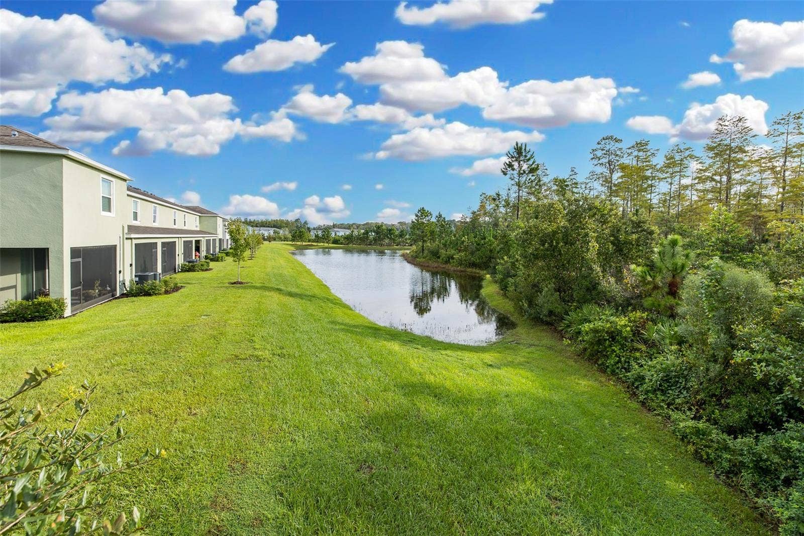 11166 CRESCENT DEER DRIVE, Land O Lakes, FL 34638 Gorgeous Backyard Conservation View