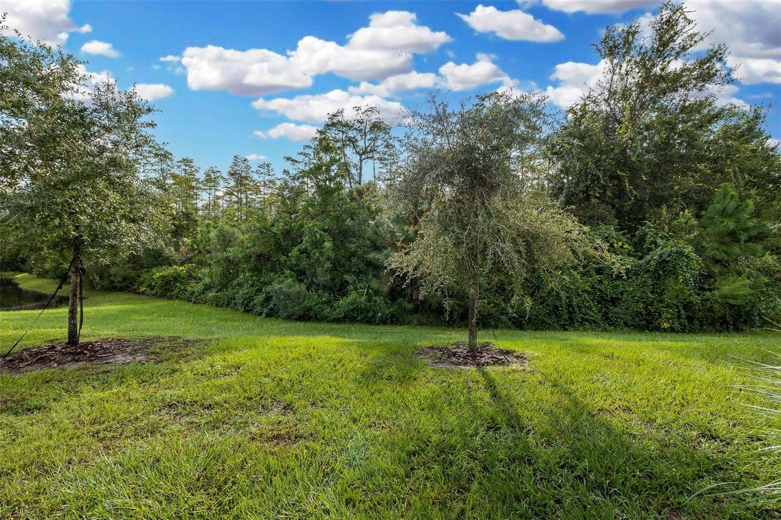 11166 CRESCENT DEER DRIVE, Land O Lakes, FL 34638 Look at this view!