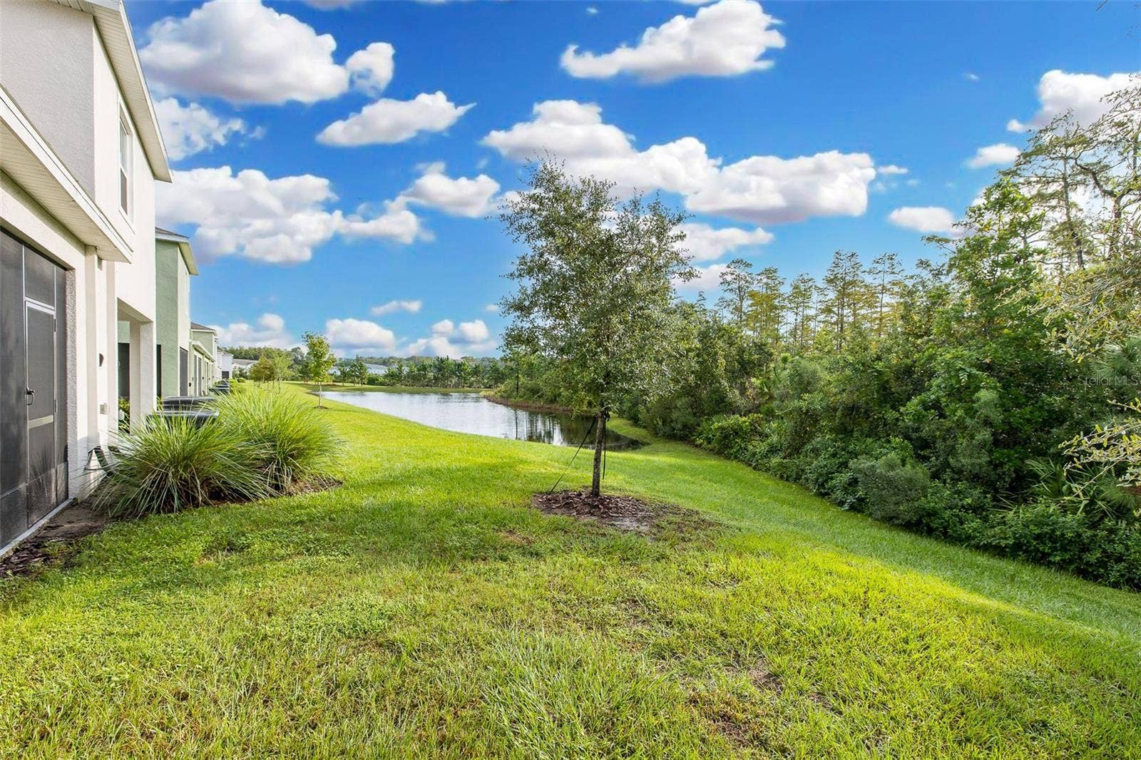 11166 CRESCENT DEER DRIVE, Land O Lakes, FL 34638 Nature at it's finest!