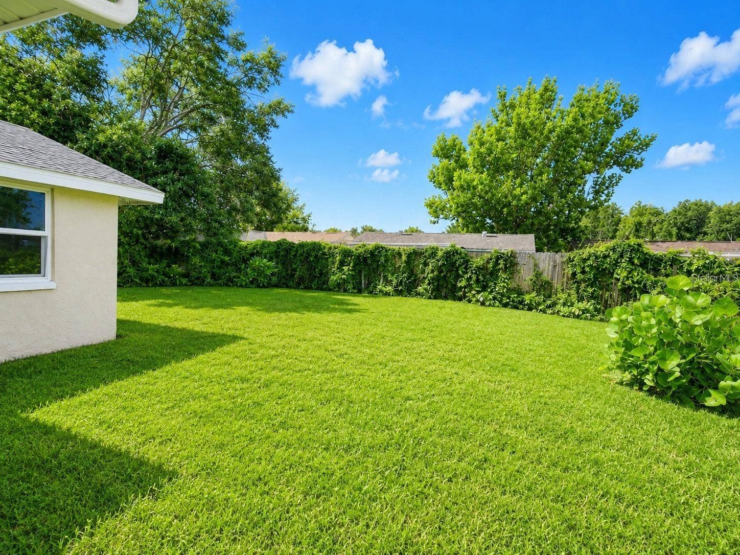 7146 CARMEL AVENUE, New Port Richey, FL 34655 7146 CARMEL AVENUE, New Port Richey, FL 34655