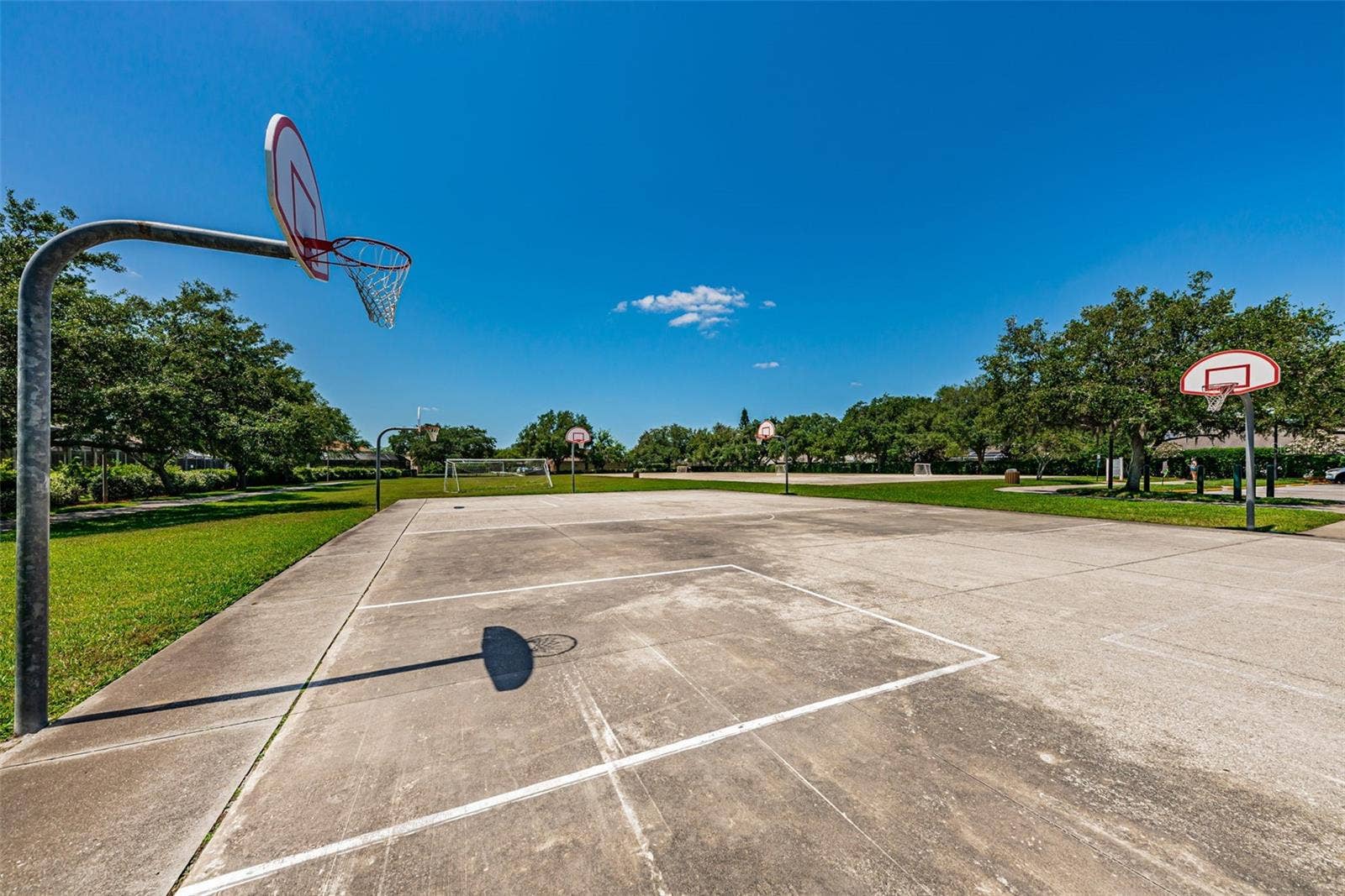 10440 TECOMA DRIVE, Trinity, FL 34655