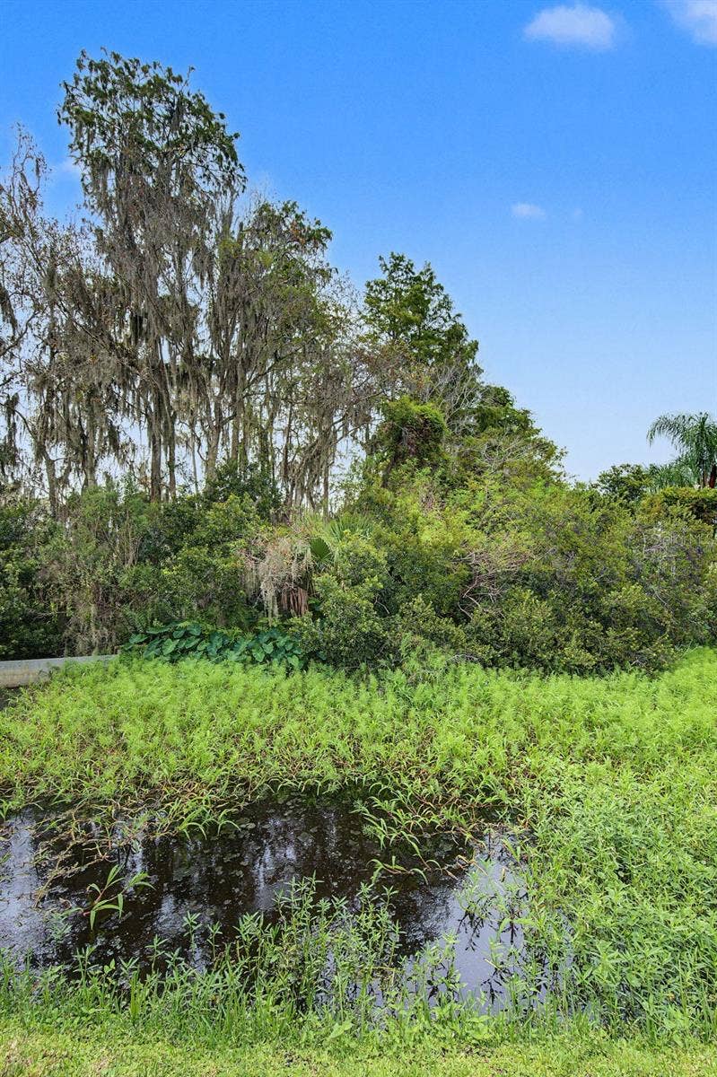 10440 TECOMA DRIVE, Trinity, FL 34655