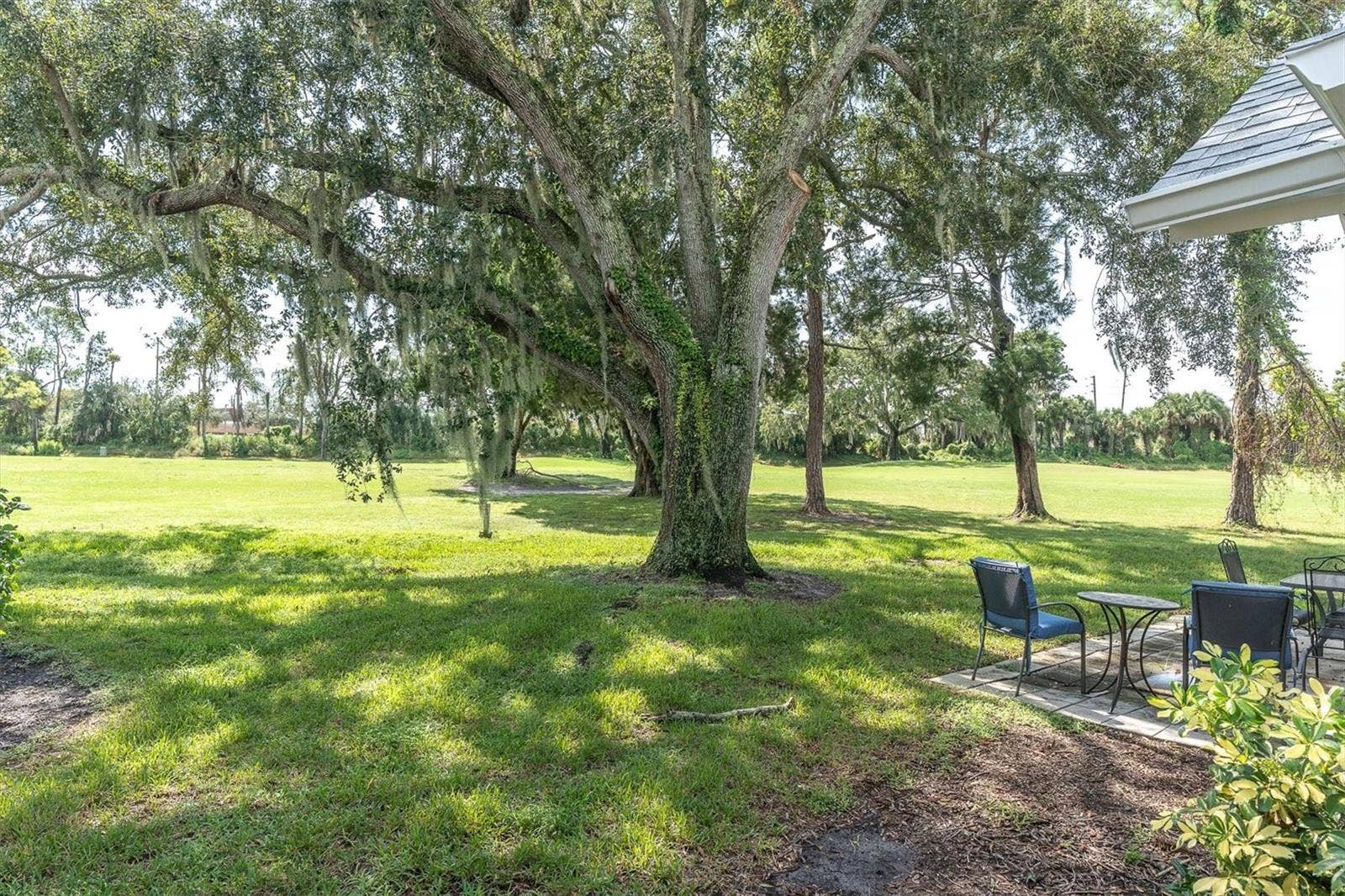 9126 BASSETT LANE, New Port Richey, FL 34655 your peaceful backyard