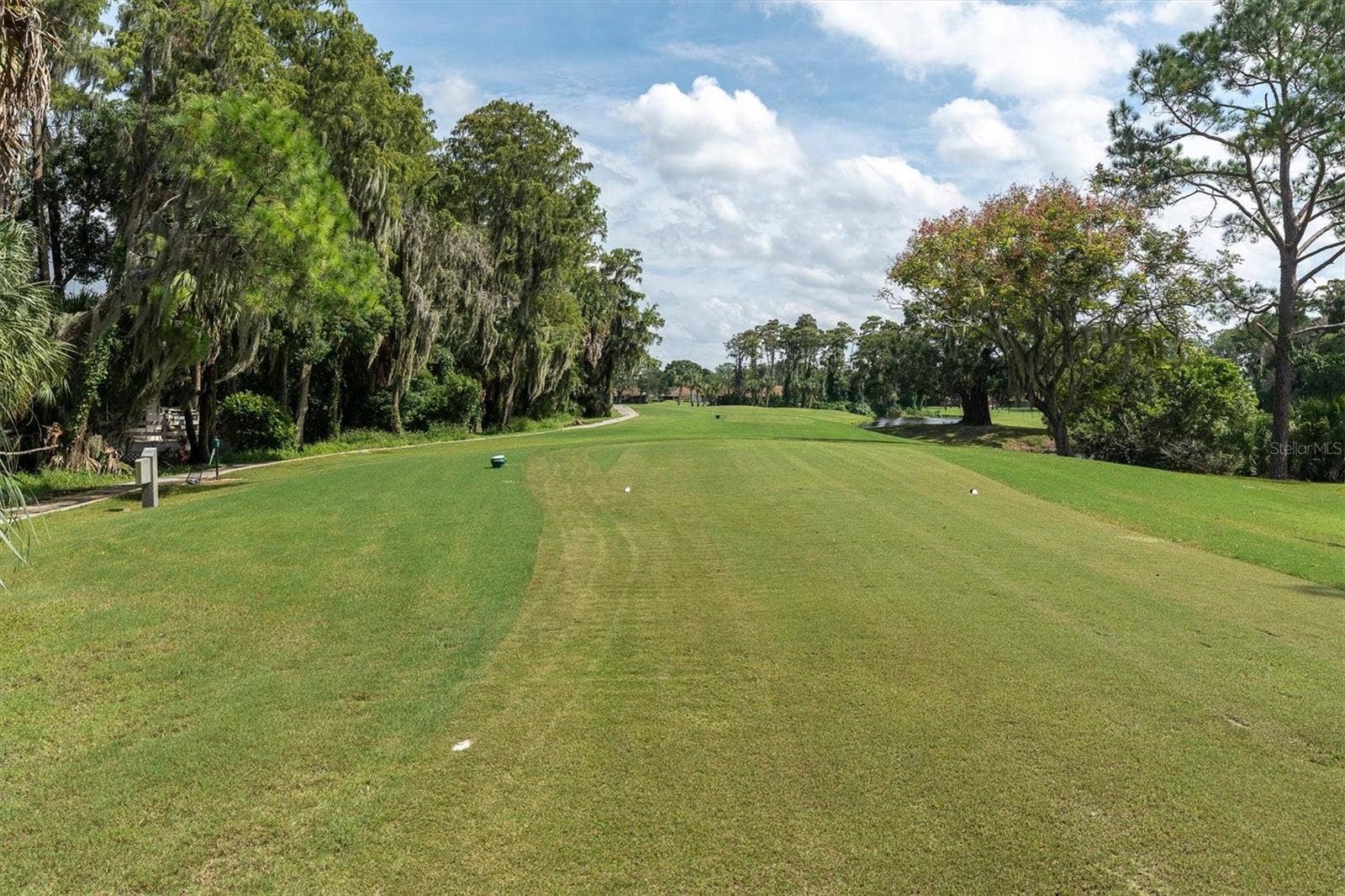 9126 BASSETT LANE, New Port Richey, FL 34655 golf hole in your backyard