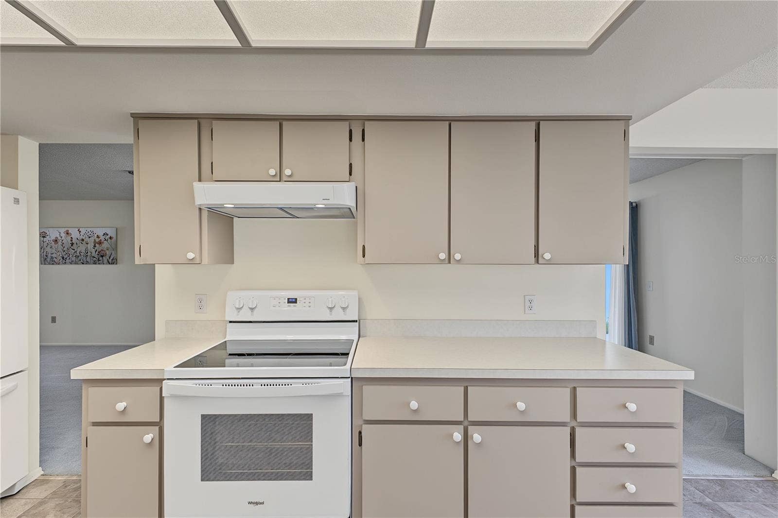 7103 CROWN OAKS DRIVE, Spring Hill, FL 34606 7103 CROWN OAKS DRIVE, Spring Hill, FL 34606