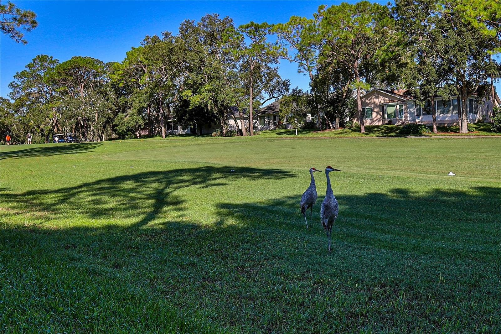 7103 CROWN OAKS DRIVE, Spring Hill, FL 34606 7103 CROWN OAKS DRIVE, Spring Hill, FL 34606