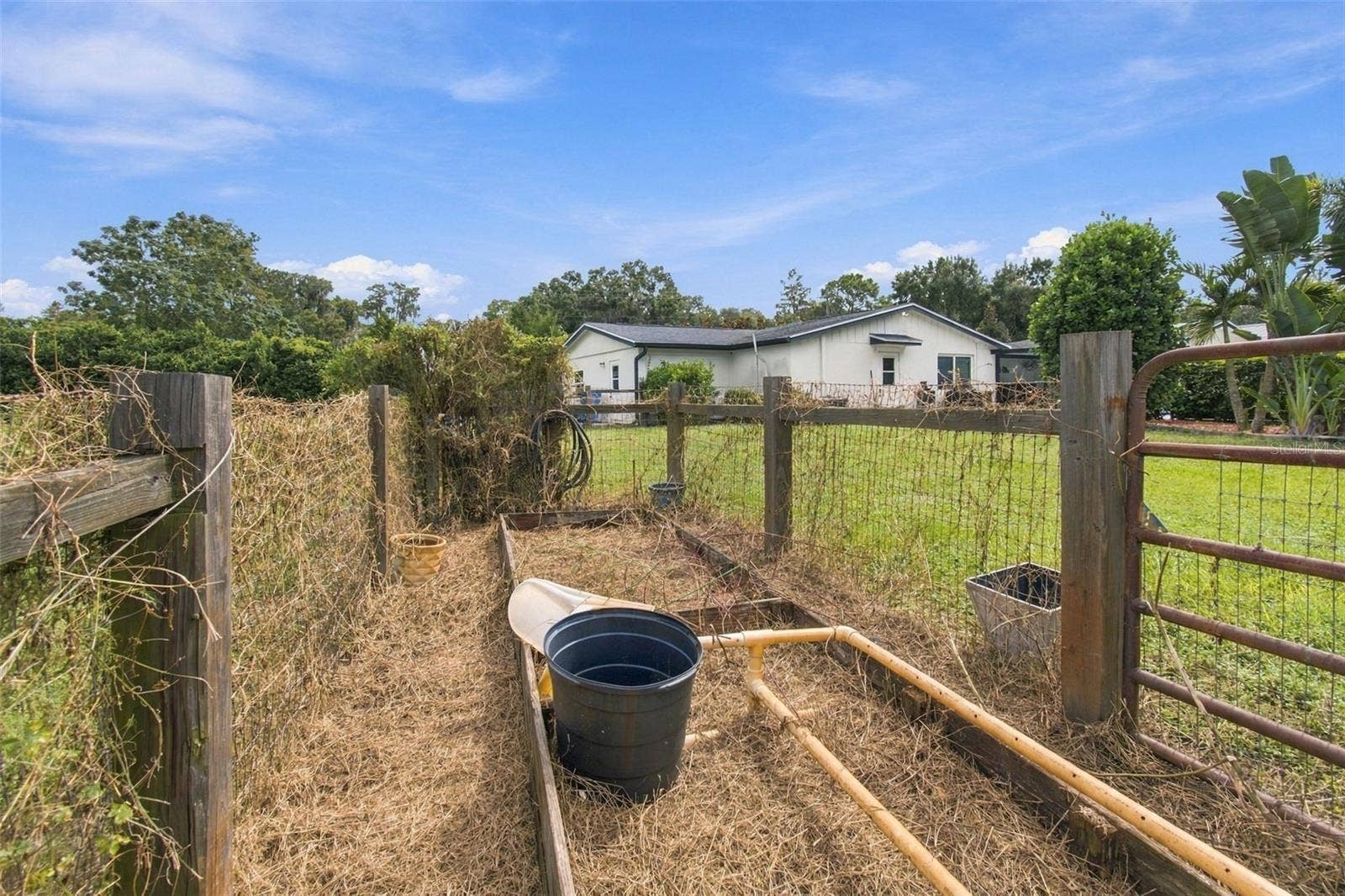 19902 GUNN HIGHWAY, Odessa, FL 33556 19902 GUNN HIGHWAY, Odessa, FL 33556