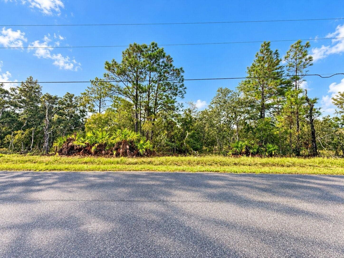 13052 JAYWALK ROAD, Weeki Wachee, FL 34614