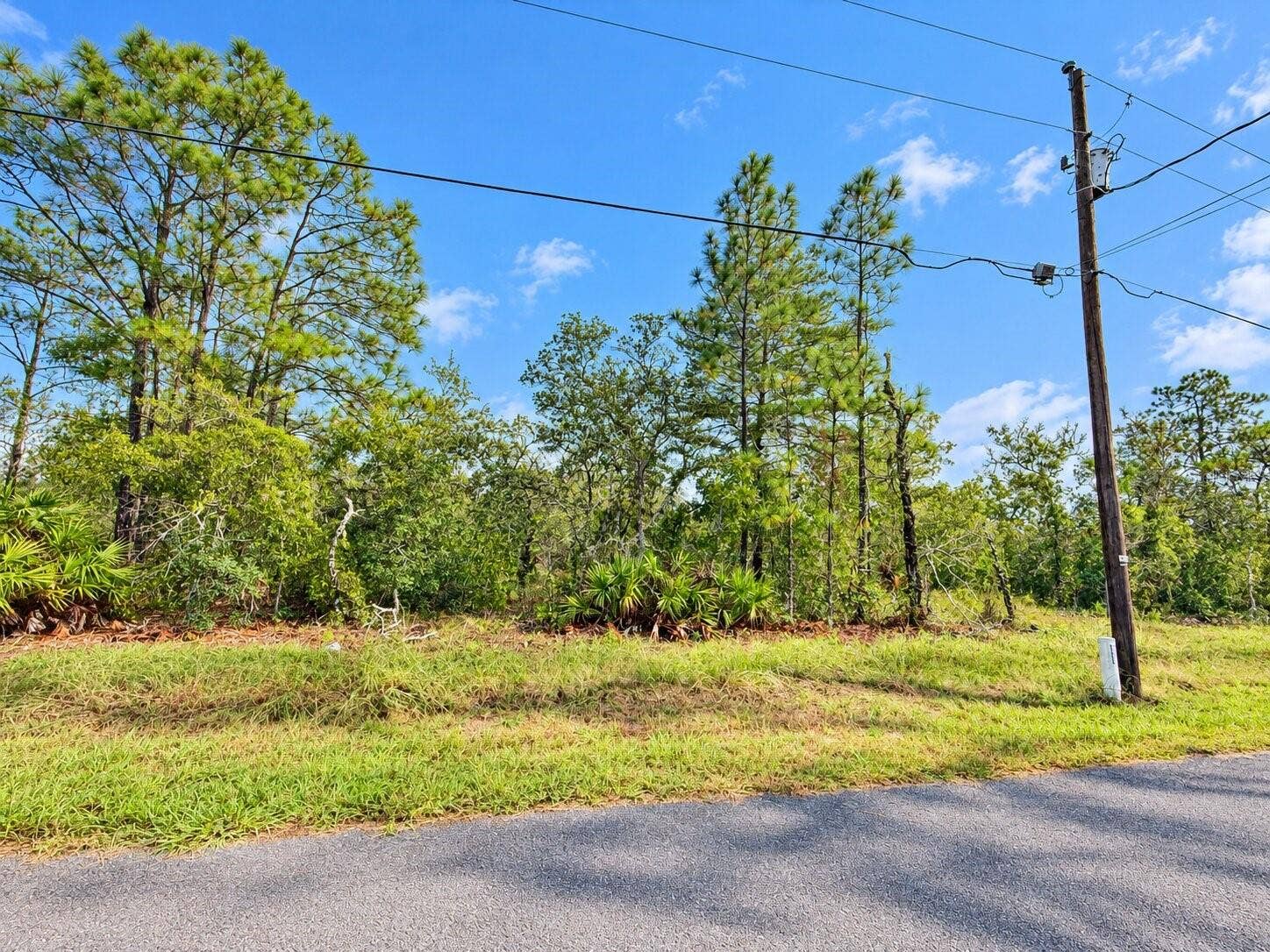 13052 JAYWALK ROAD, Weeki Wachee, FL 34614