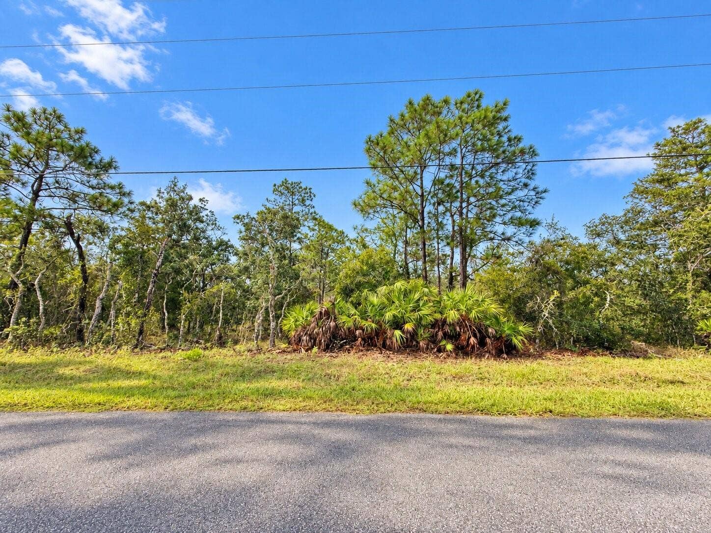 13052 JAYWALK ROAD, Weeki Wachee, FL 34614