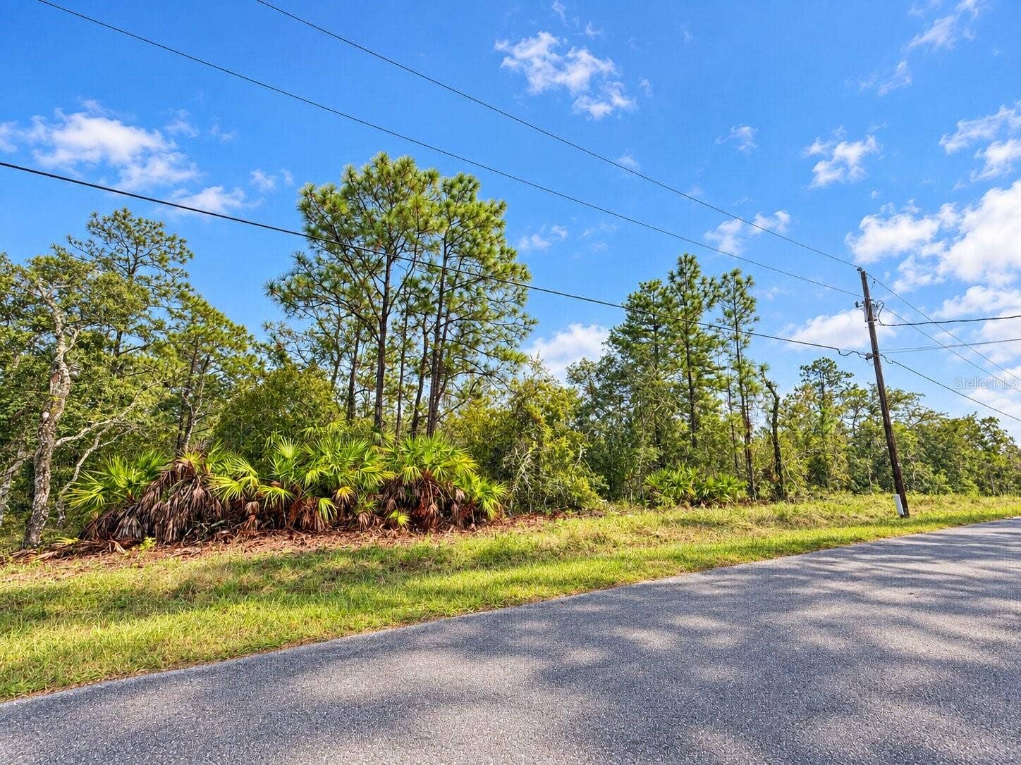 13052 JAYWALK ROAD, Weeki Wachee, FL 34614