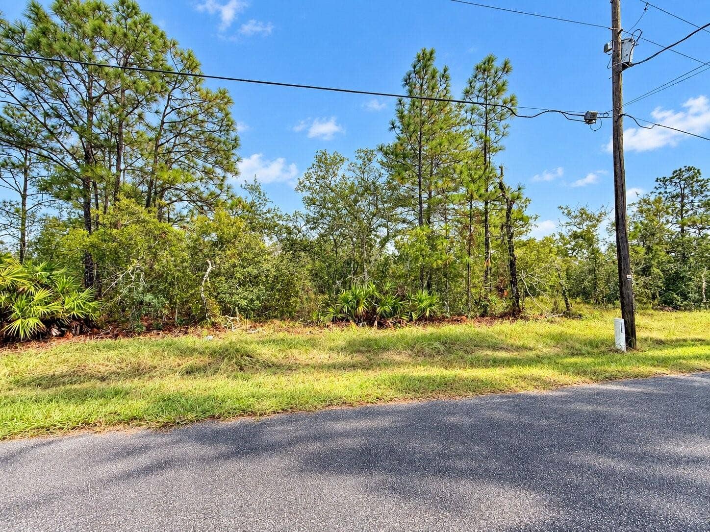 13052 JAYWALK ROAD, Weeki Wachee, FL 34614