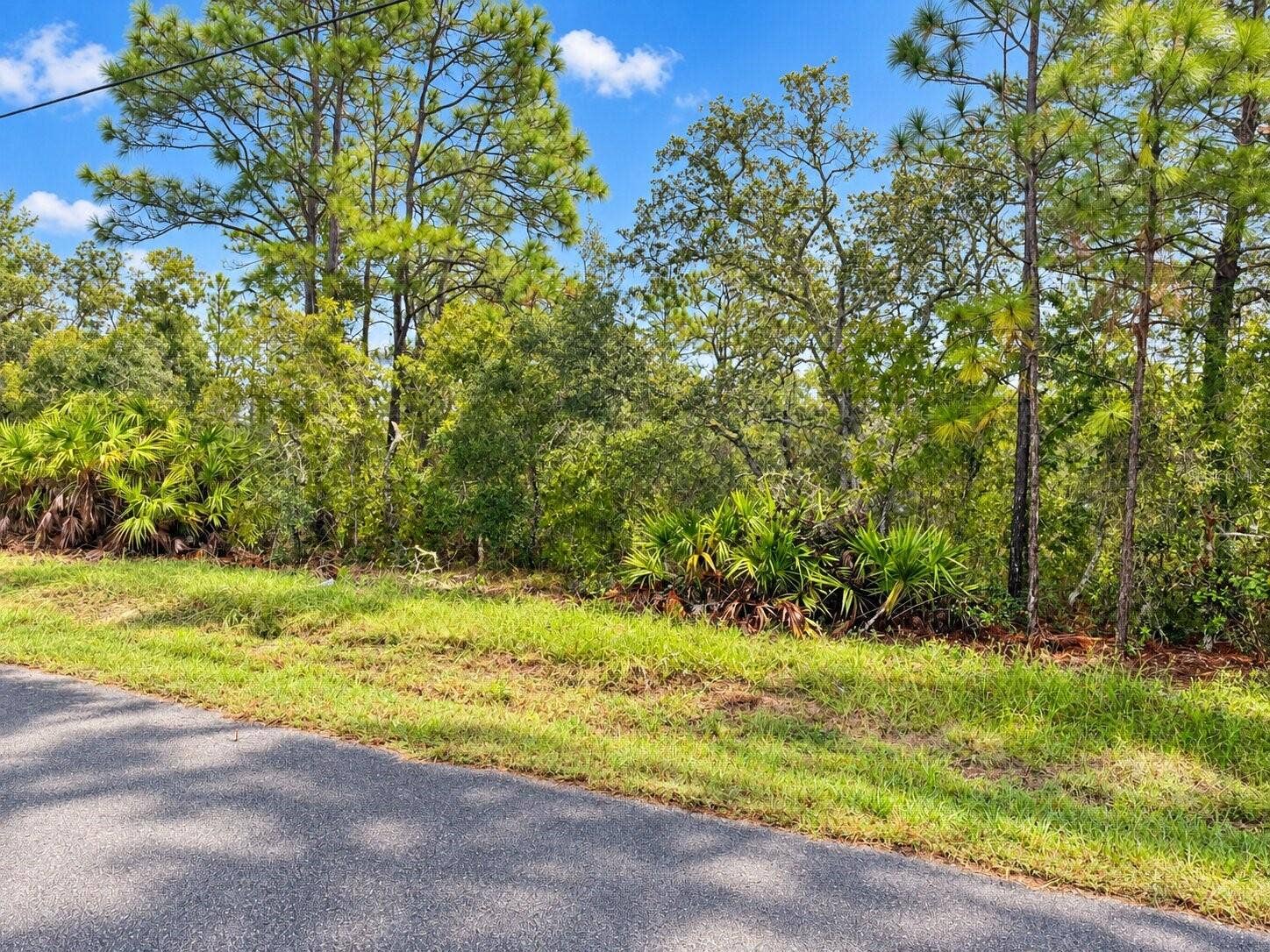 13052 JAYWALK ROAD, Weeki Wachee, FL 34614