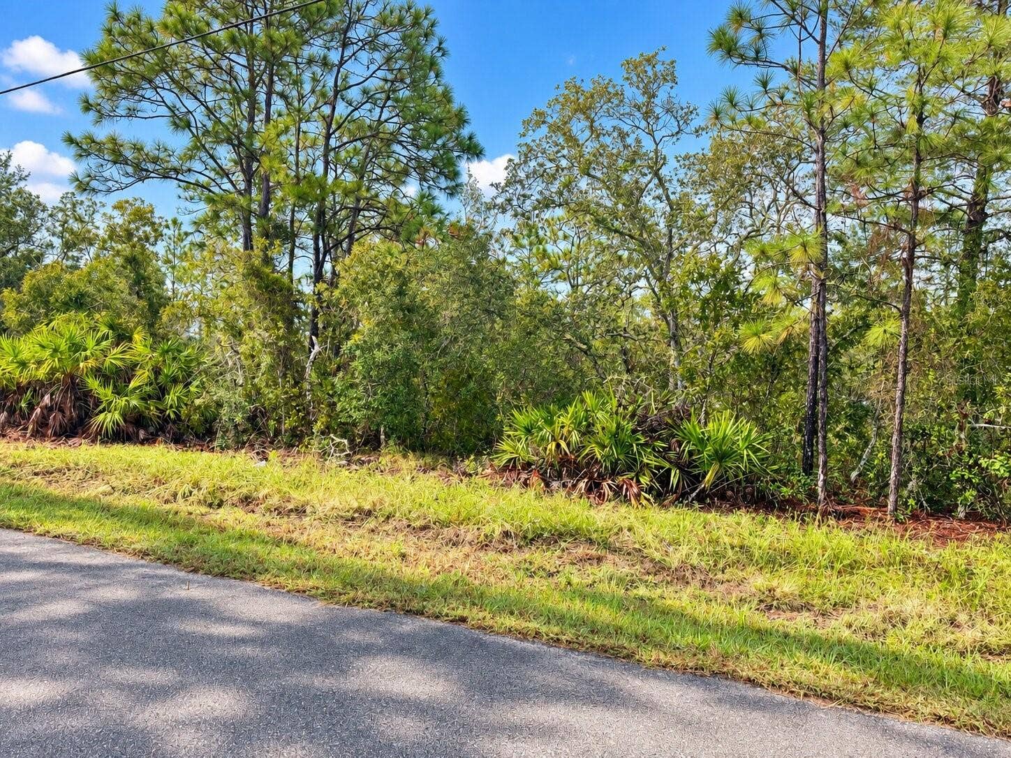 13052 JAYWALK ROAD, Weeki Wachee, FL 34614