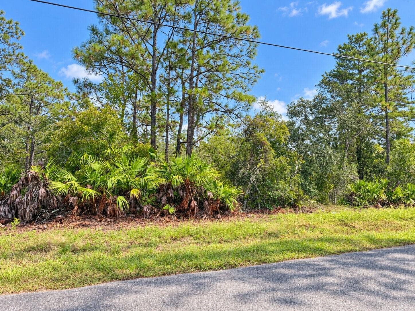 13052 JAYWALK ROAD, Weeki Wachee, FL 34614