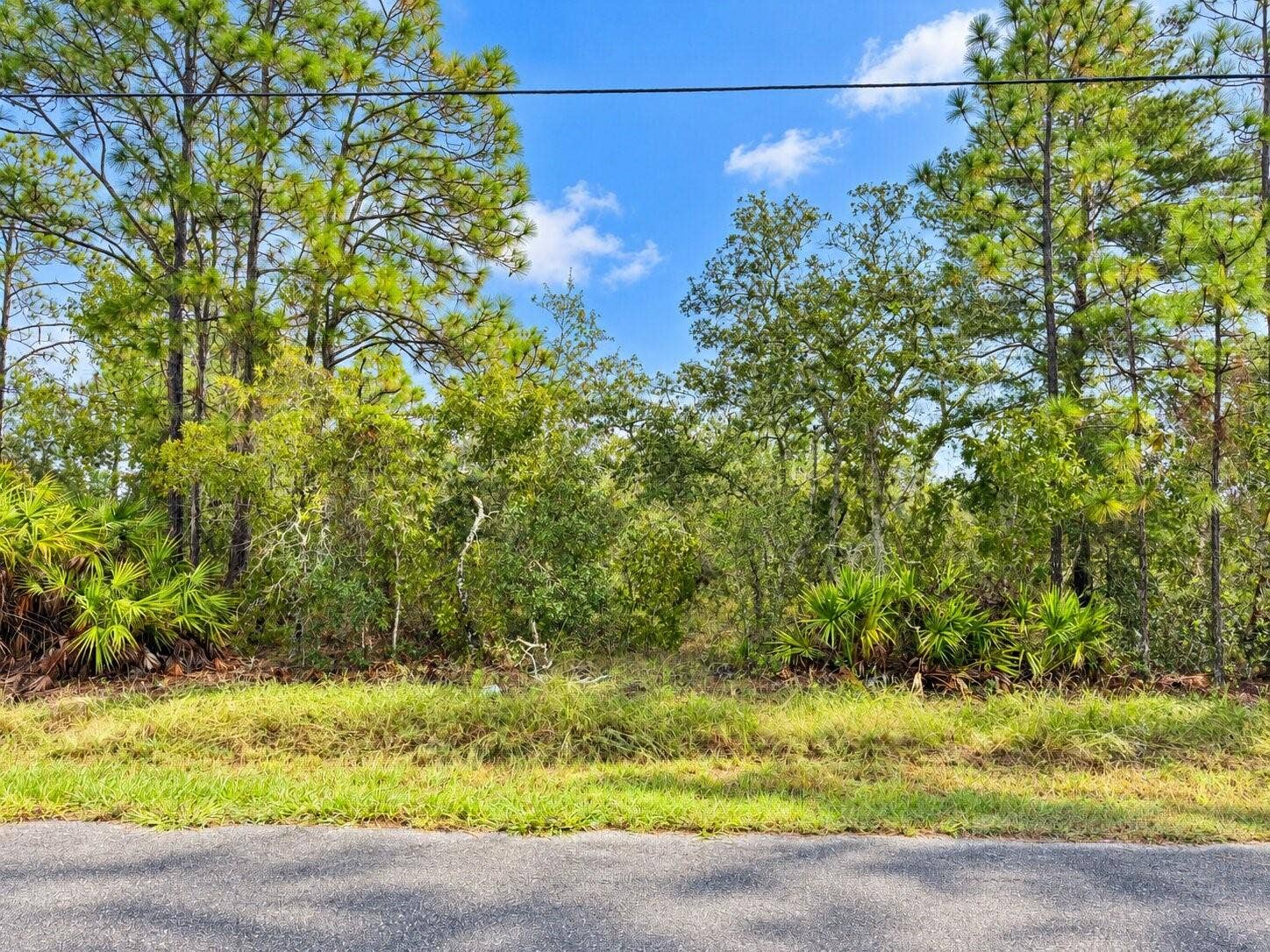 13052 JAYWALK ROAD, Weeki Wachee, FL 34614